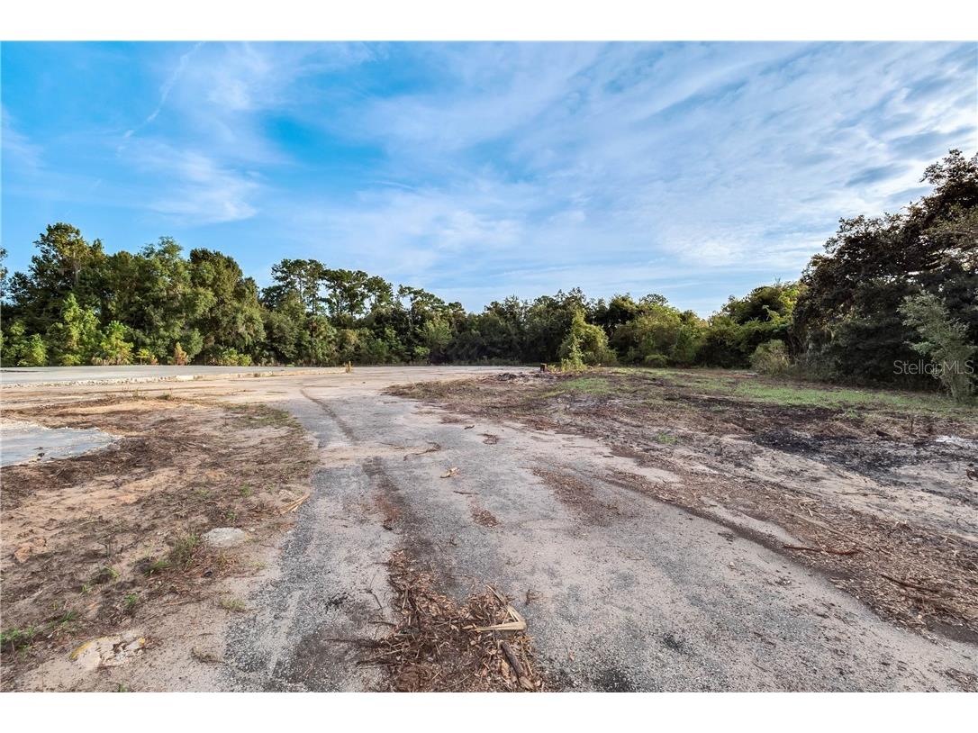 3131 Us Highway 441/27 Fruitland Park FL 34731 A4448831 image13