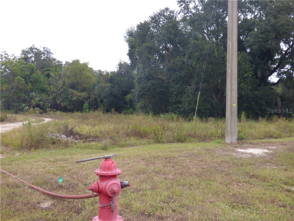 3131 Us Highway 441/27 Fruitland Park FL 34731 A4448831 image15