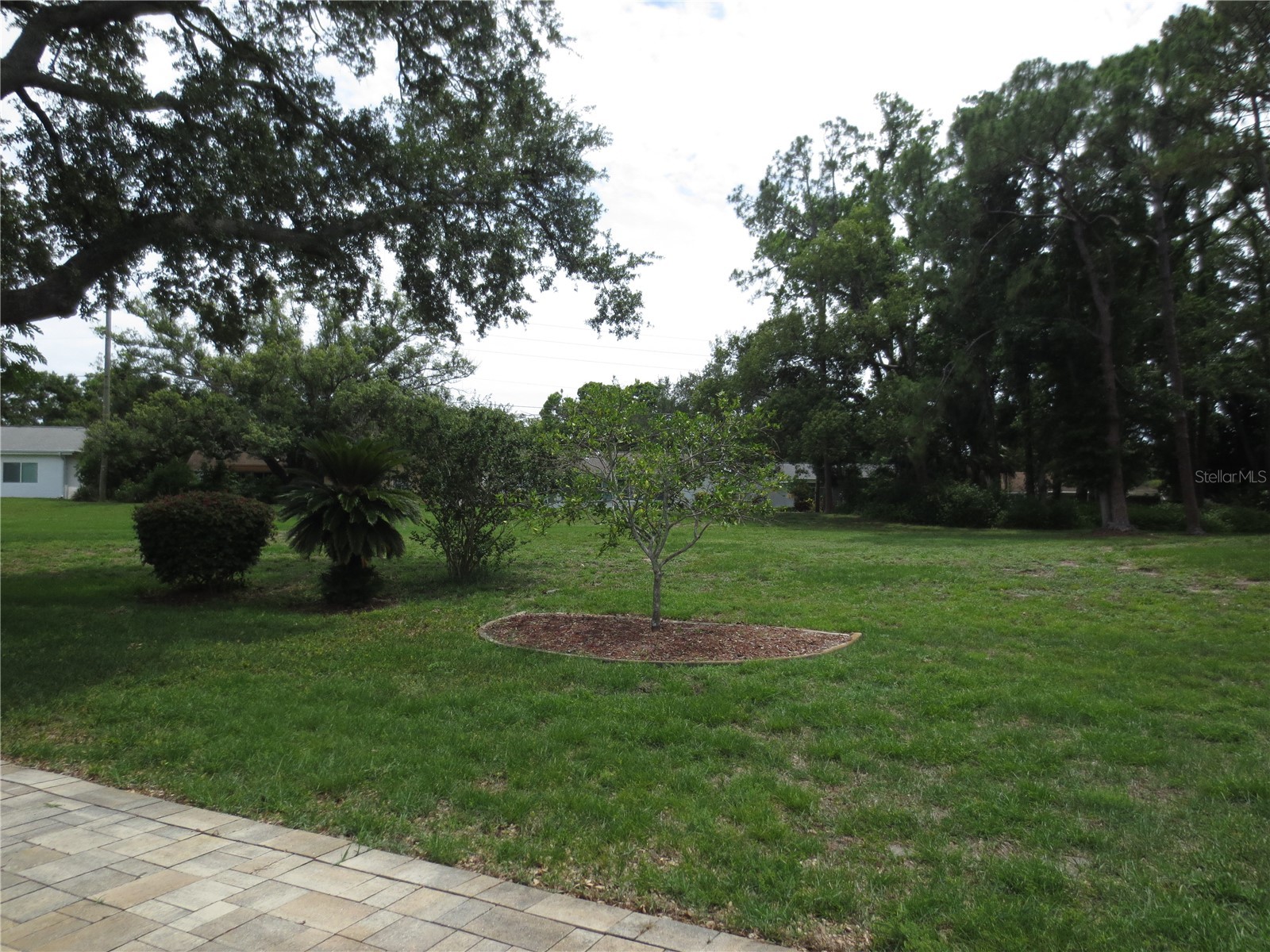 3132 Brunswick Circle Palm Harbor FL 34684 - LAKE TARPON TB8516680 image2