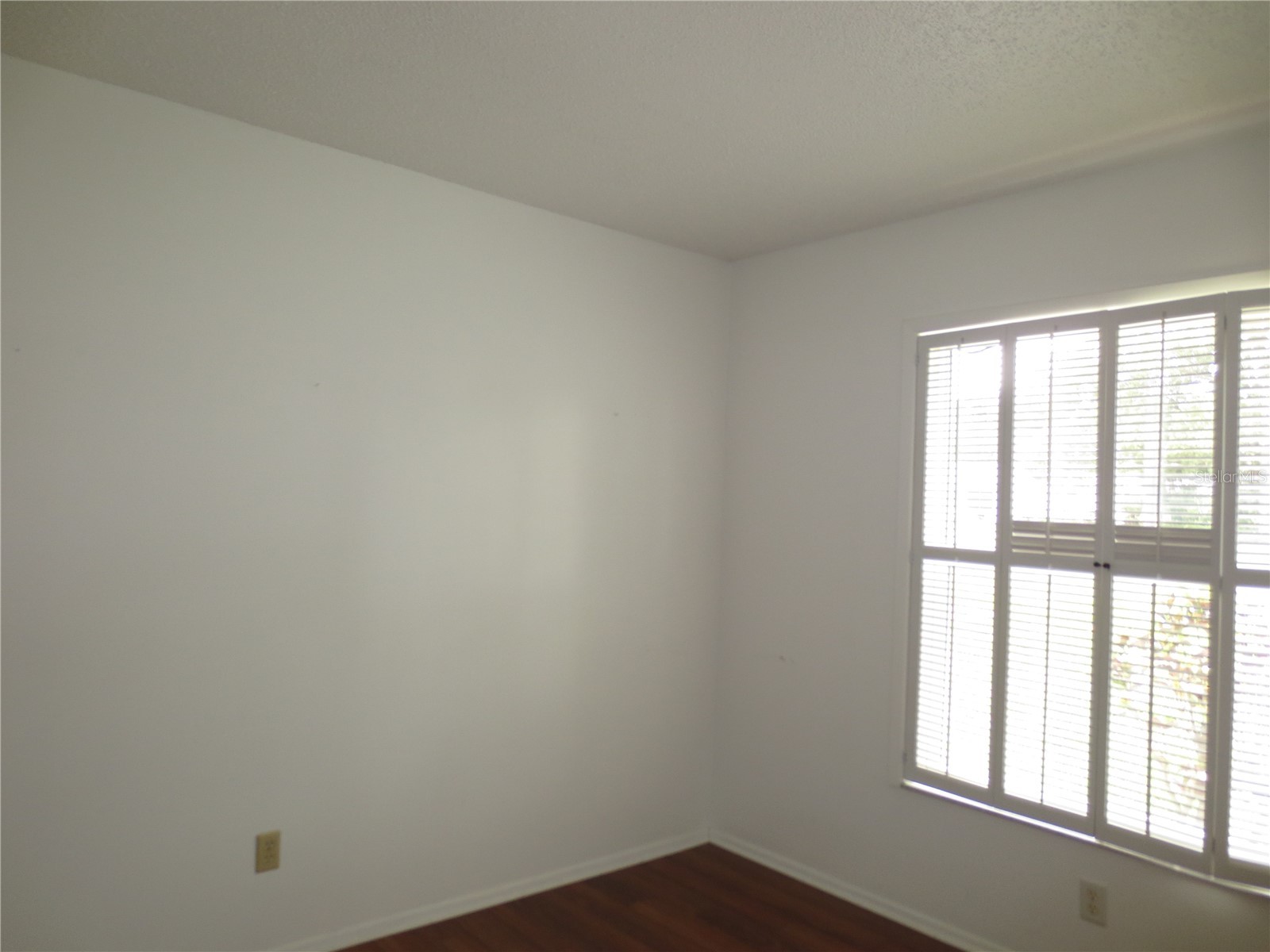 3132 Brunswick Circle Palm Harbor FL 34684 - LAKE TARPON TB8516680 image25