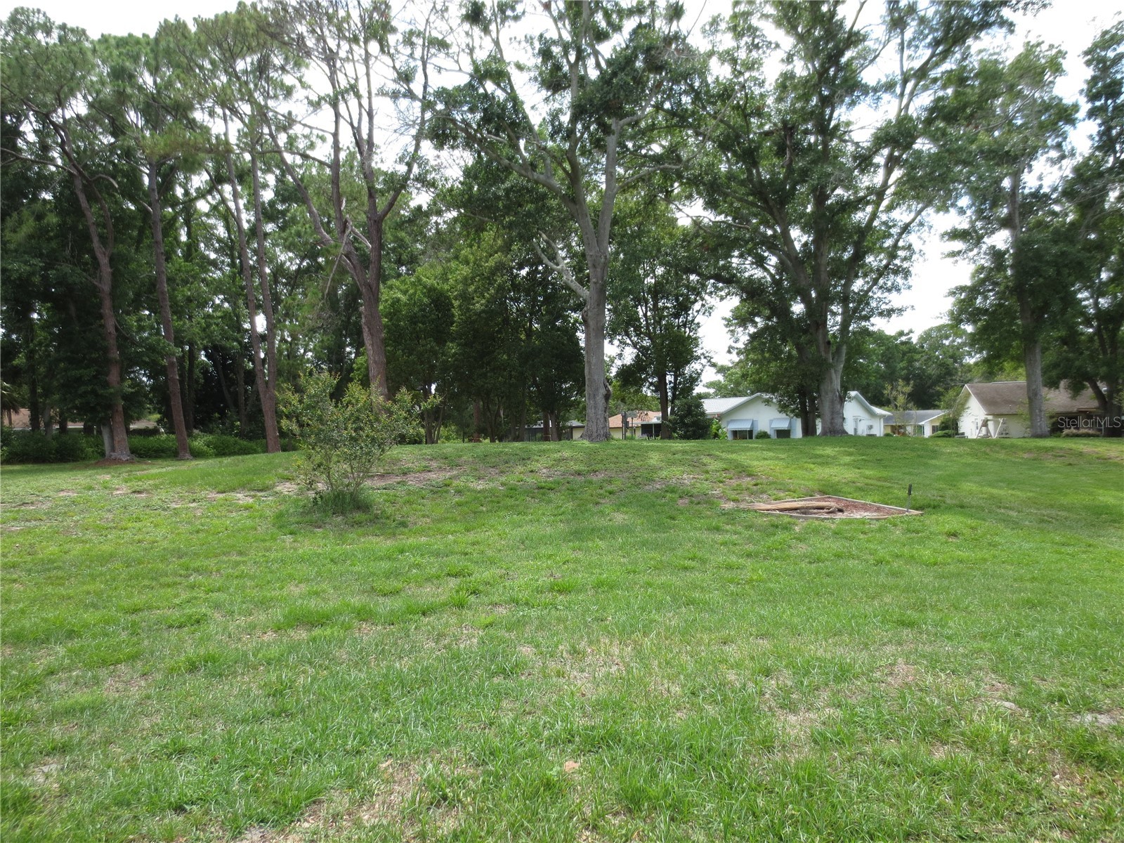 3132 Brunswick Circle Palm Harbor FL 34684 - LAKE TARPON TB8516680 image3