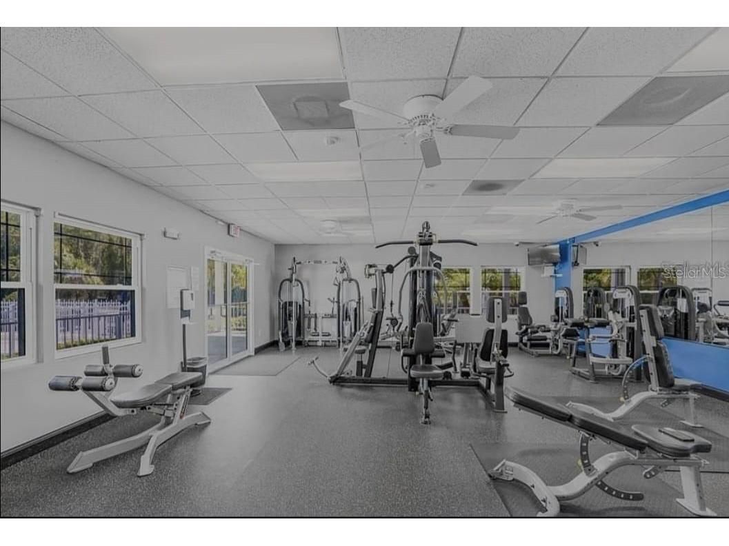 3132 Regal Darner Drive Kissimmee FL 34744 O6354446 image19