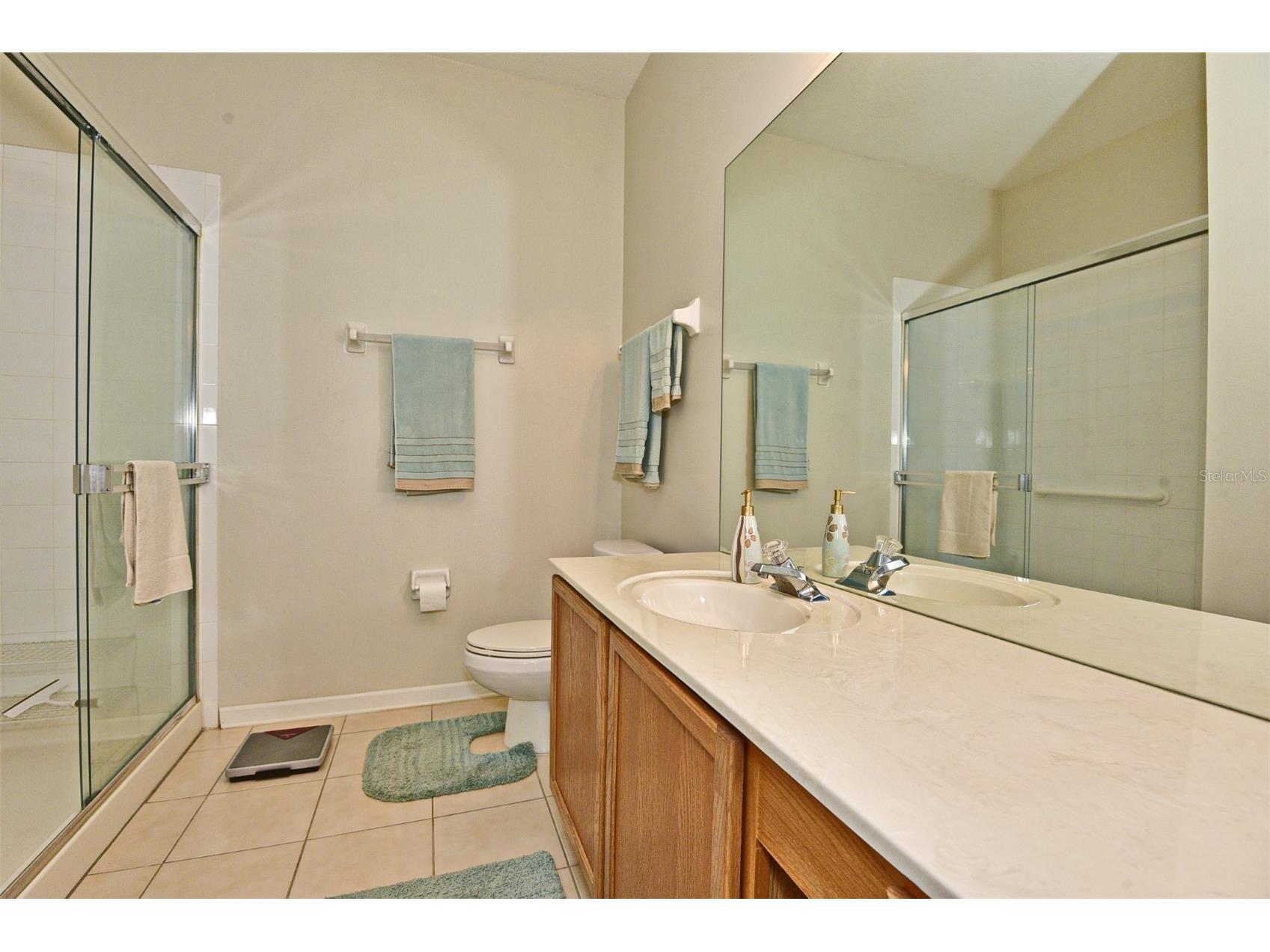 3132 River Branch Circle Kissimmee FL 34741 O6420682 image9