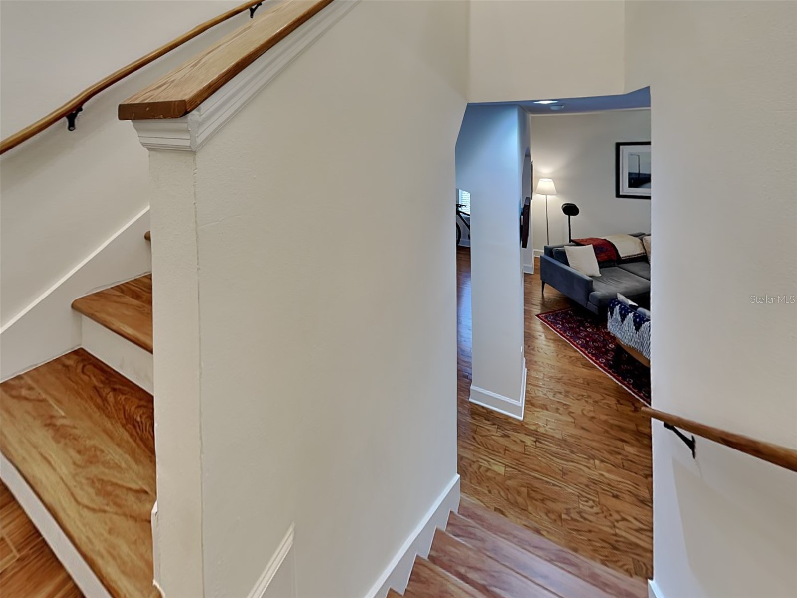 3132 Santorini Court Tampa FL 33611 TB8460652 image24