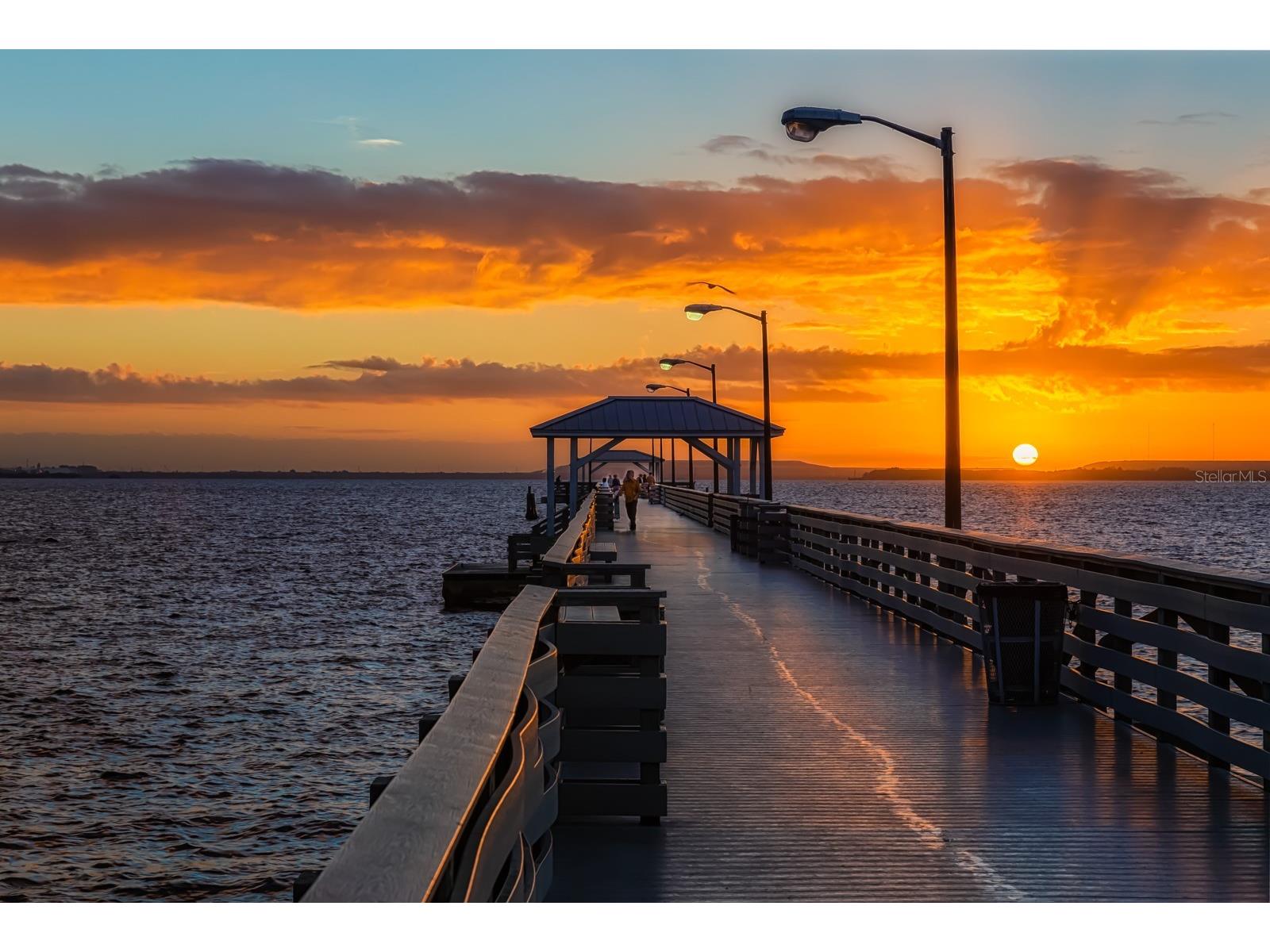 3132 Santorini Court Tampa FL 33611 TB8460652 image52