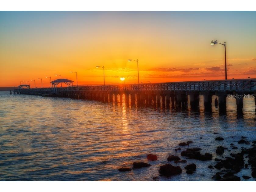 3132 Santorini Court Tampa FL 33611 TB8460652 image53