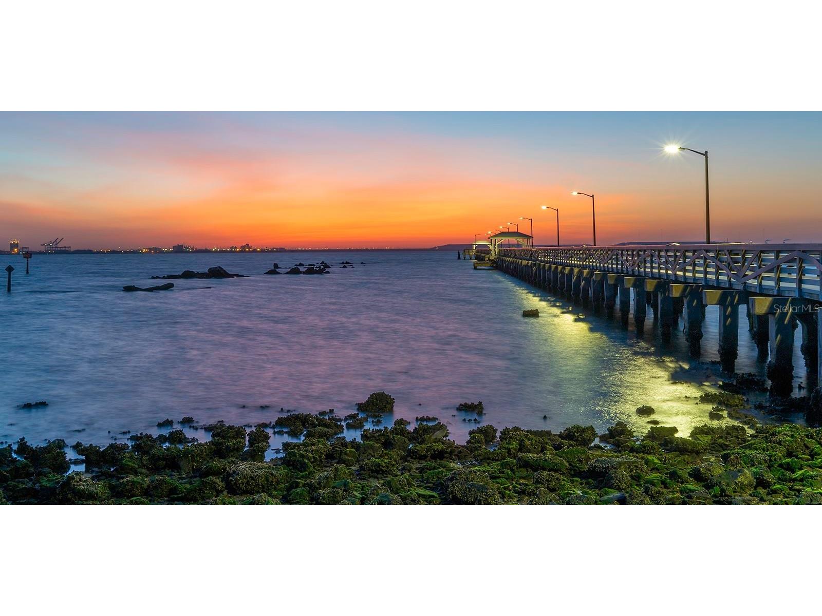 3132 Santorini Court Tampa FL 33611 TB8460652 image54