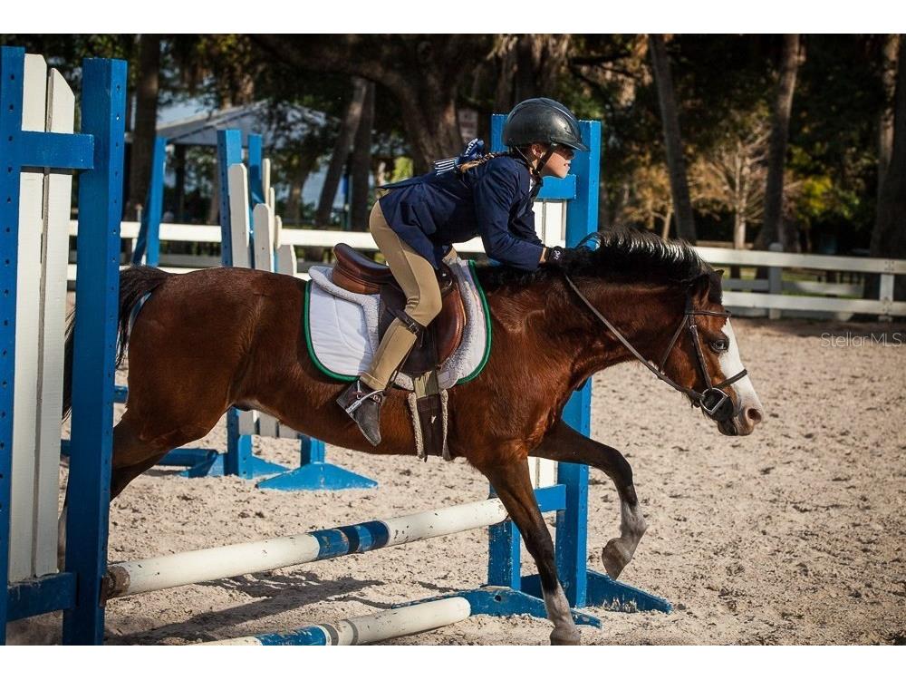 3132 Santorini Court Tampa FL 33611 TB8460652 image56