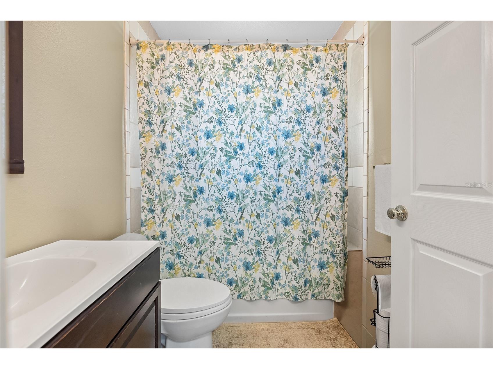 3132 Sky St Deltona FL 32738 O6395719 image28