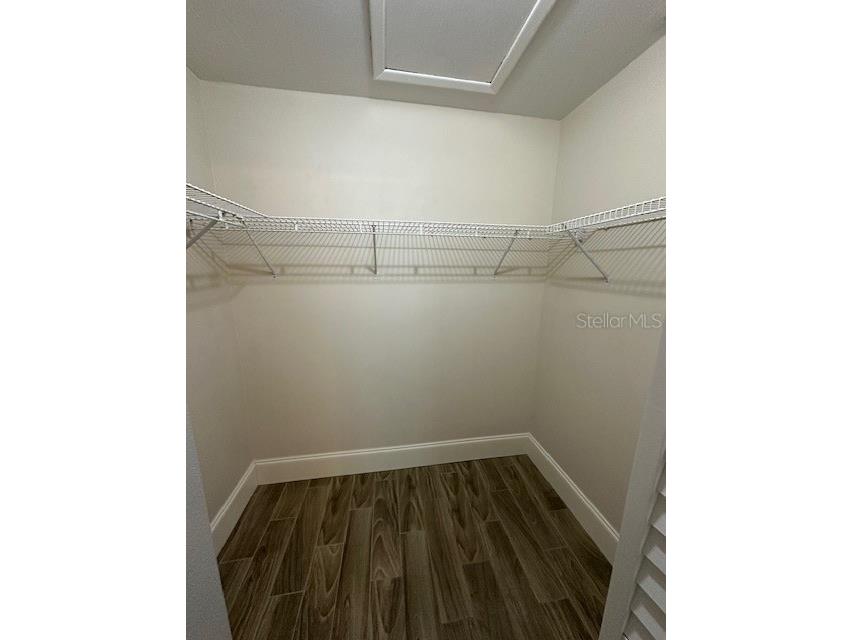 3132 St Clair Avenue #A Oldsmar FL 34677 TB8416761 image13