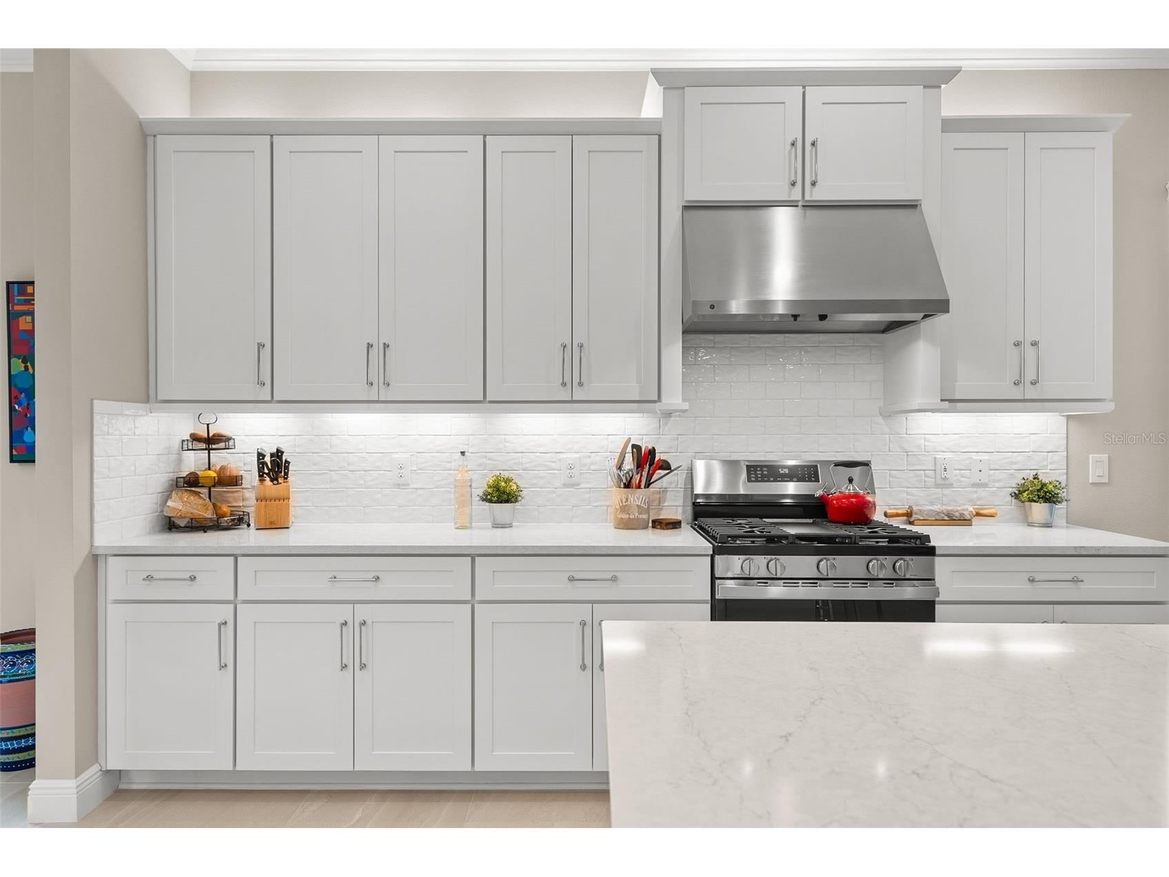 31321 Chesapeake Bay Drive Wesley Chapel FL 33543 O6409729 image18