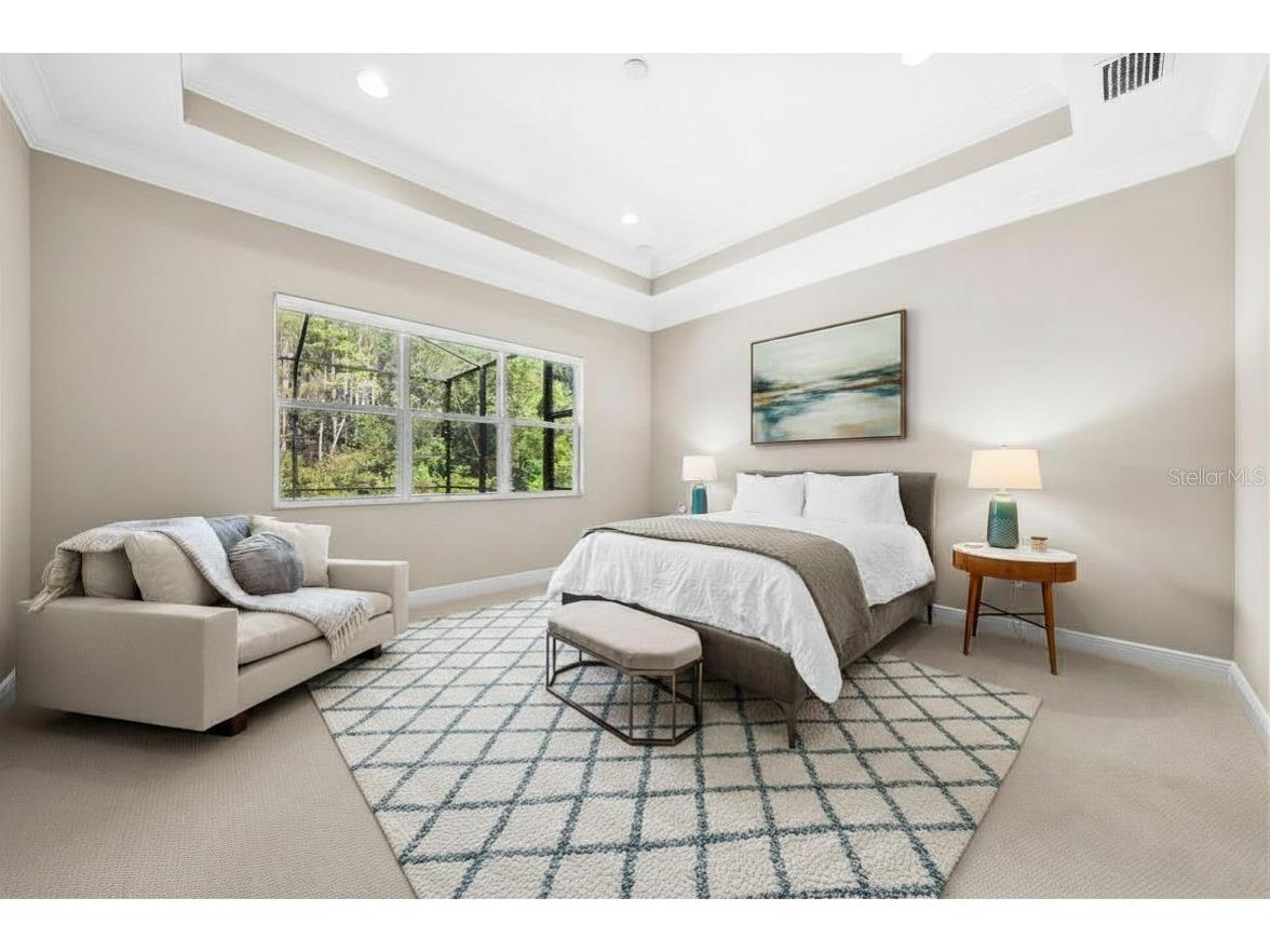 31321 Chesapeake Bay Drive Wesley Chapel FL 33543 O6409729 image26