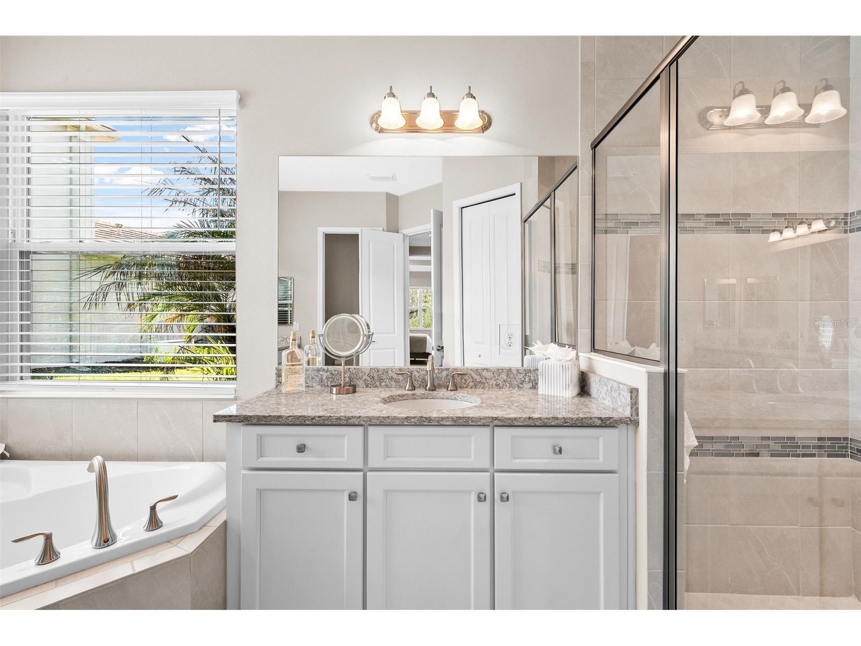 31321 Chesapeake Bay Drive Wesley Chapel FL 33543 O6409729 image28