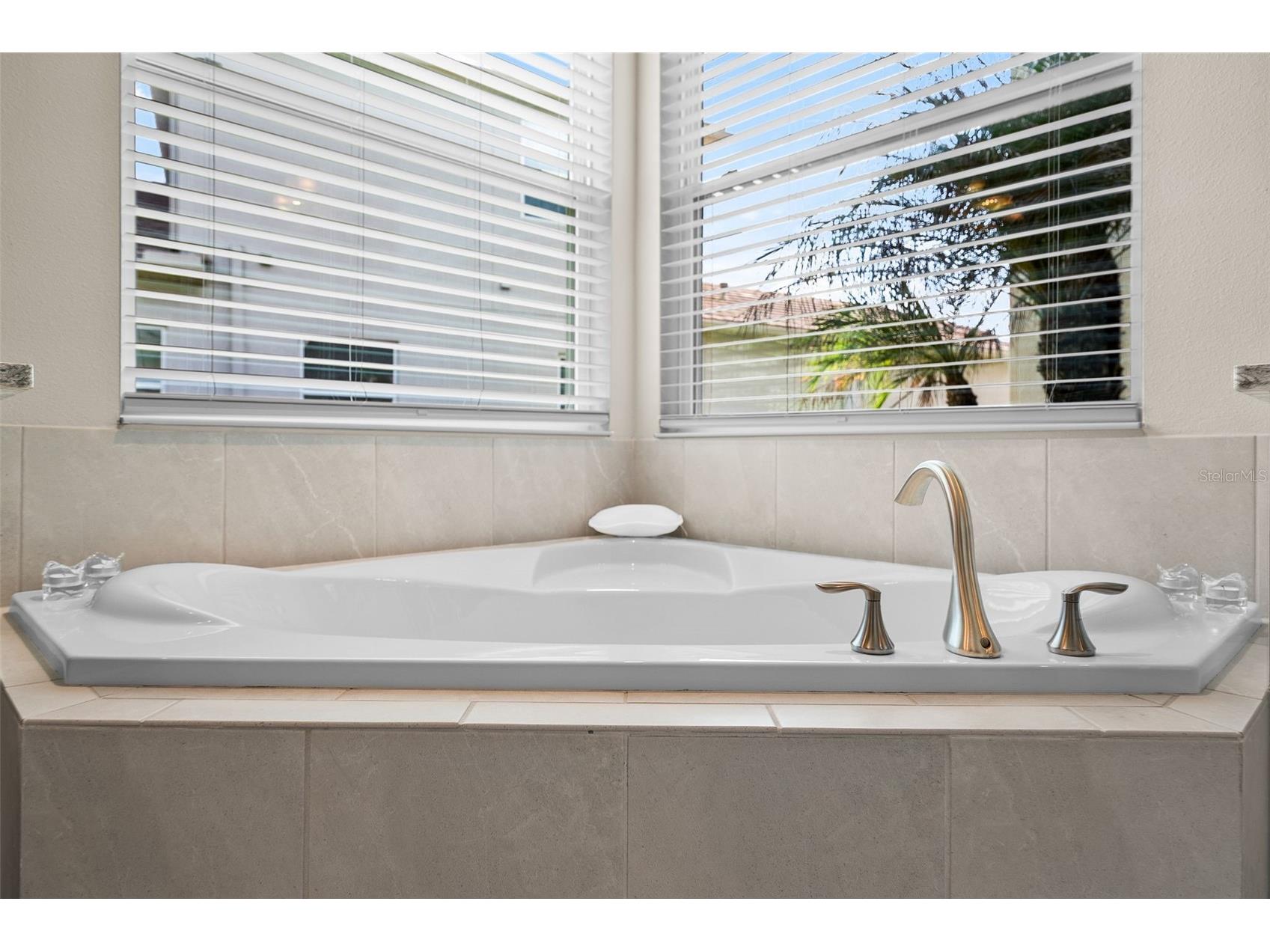 31321 Chesapeake Bay Drive Wesley Chapel FL 33543 O6409729 image29