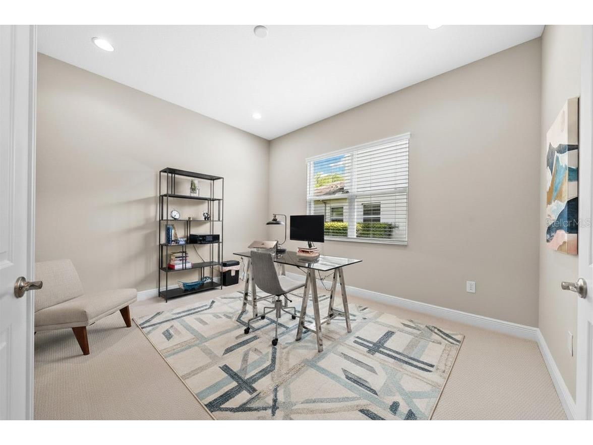 31321 Chesapeake Bay Drive Wesley Chapel FL 33543 O6409729 image31