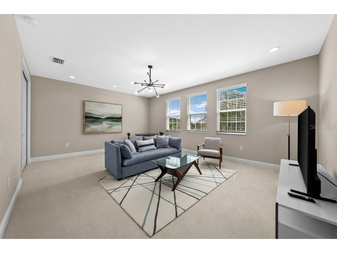 31321 Chesapeake Bay Drive Wesley Chapel FL 33543 O6409729 image43