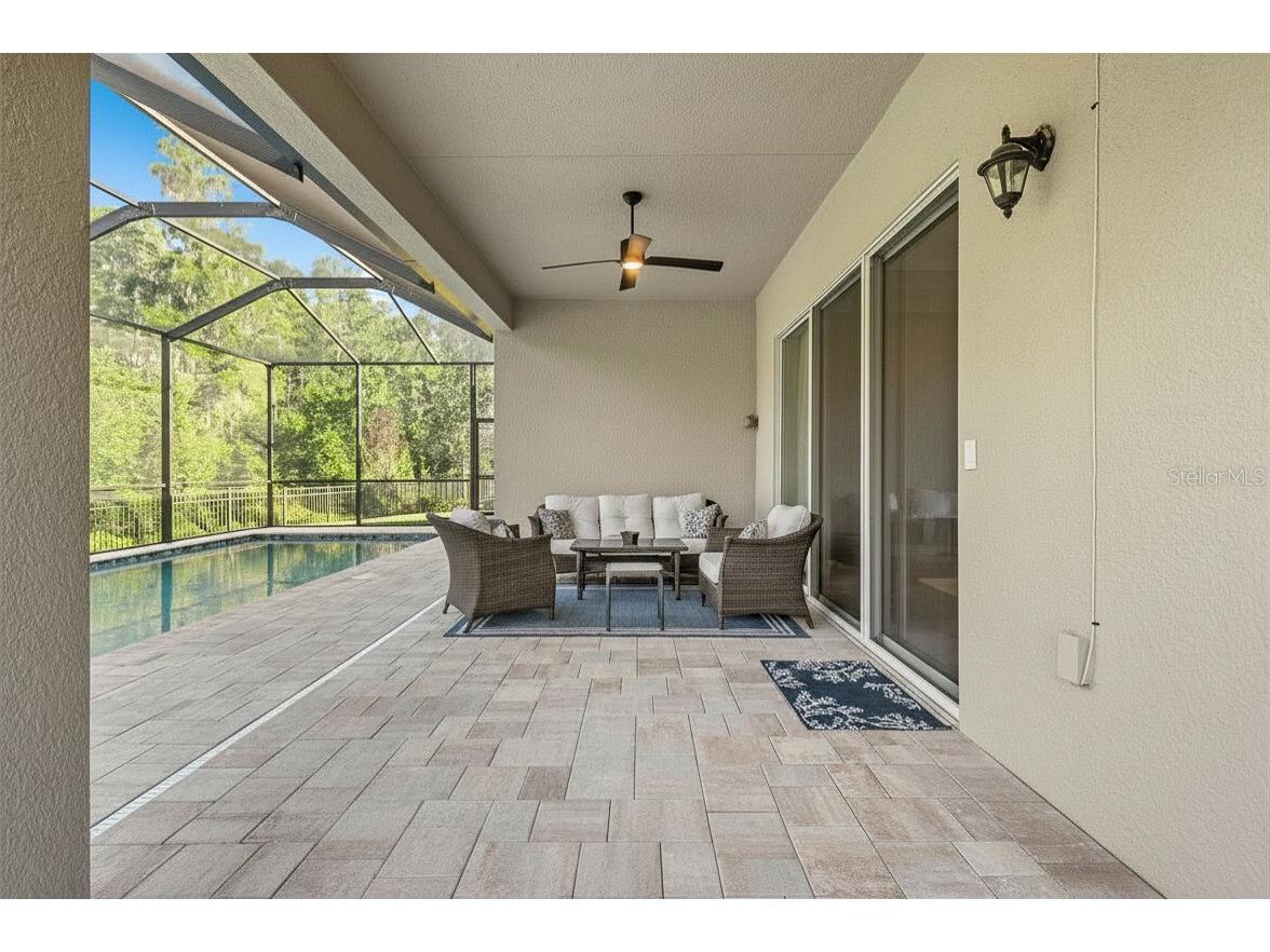 31321 Chesapeake Bay Drive Wesley Chapel FL 33543 O6409729 image45