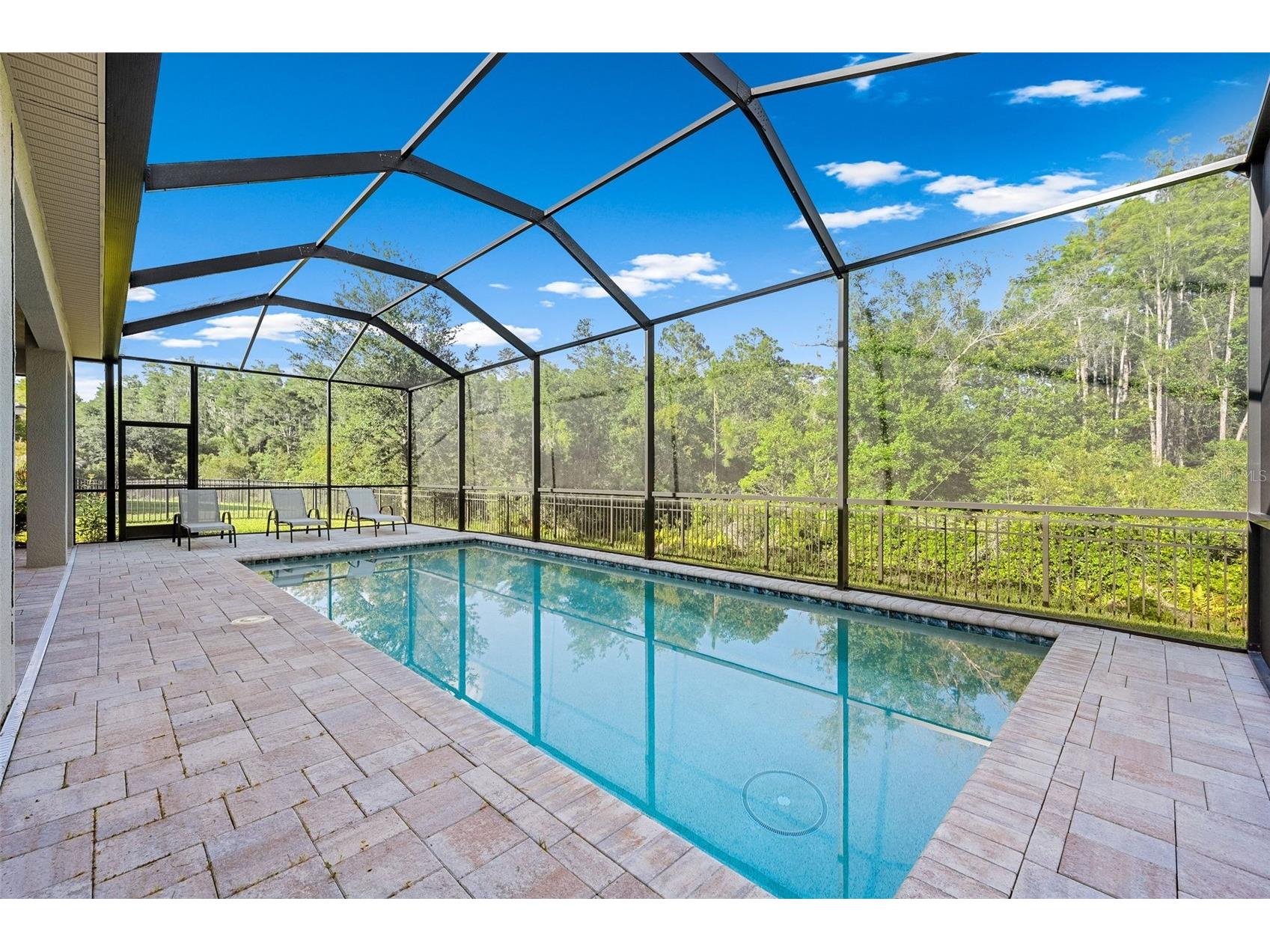 31321 Chesapeake Bay Drive Wesley Chapel FL 33543 O6409729 image47