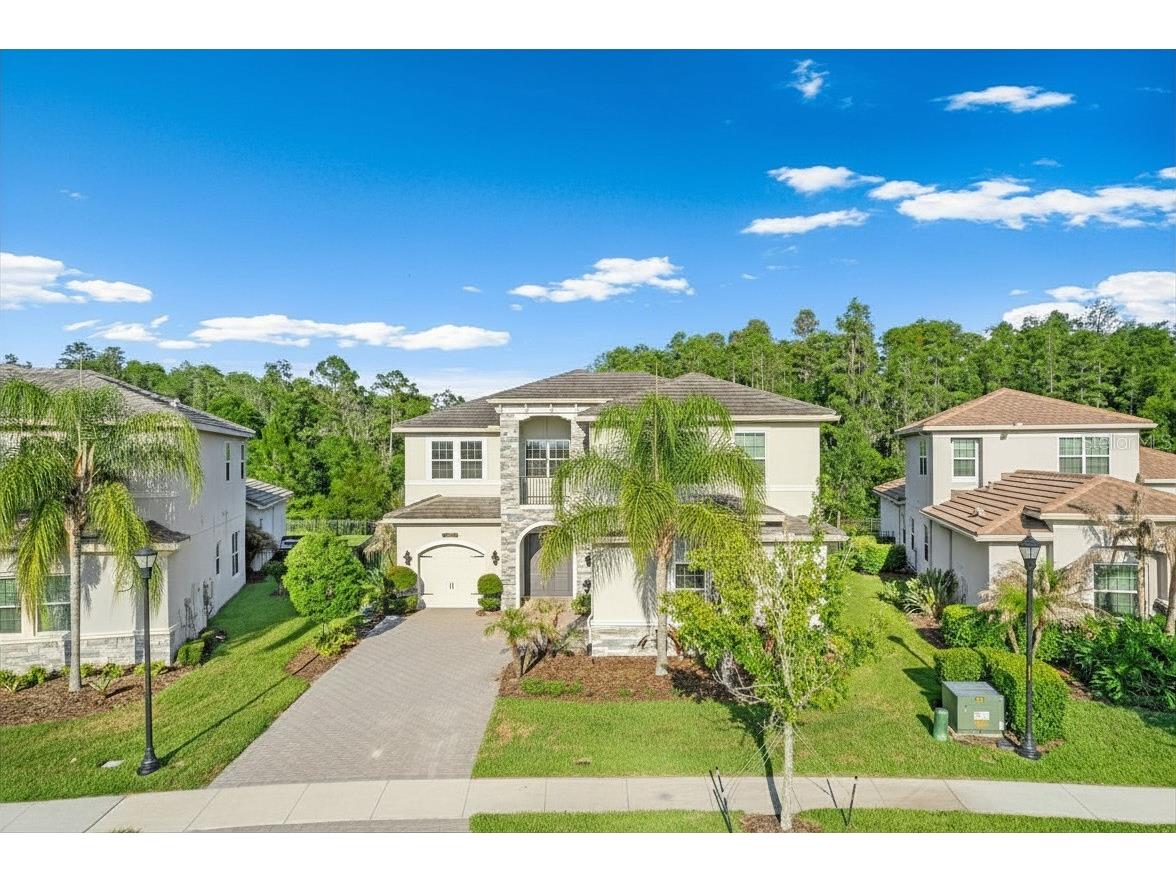31321 Chesapeake Bay Drive Wesley Chapel FL 33543 O6409729 image50