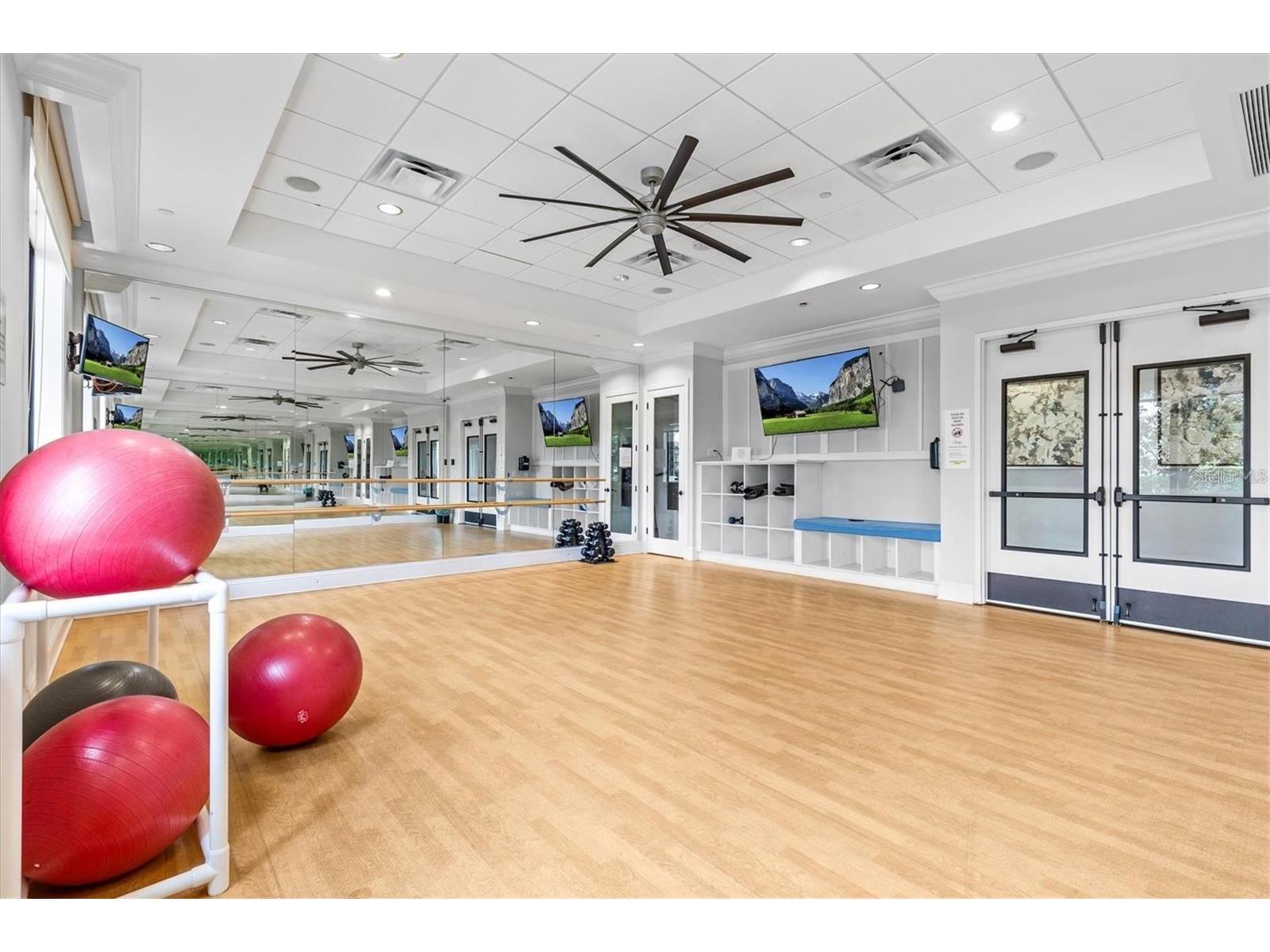 31321 Chesapeake Bay Drive Wesley Chapel FL 33543 O6409729 image54