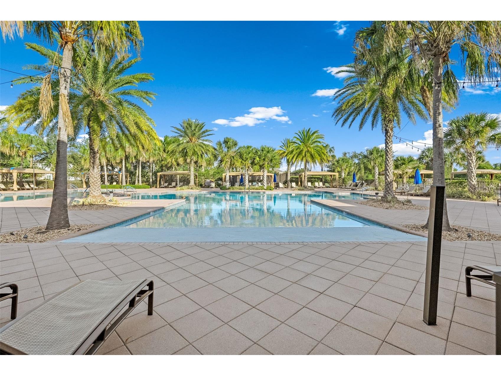 31321 Chesapeake Bay Drive Wesley Chapel FL 33543 O6409729 image56