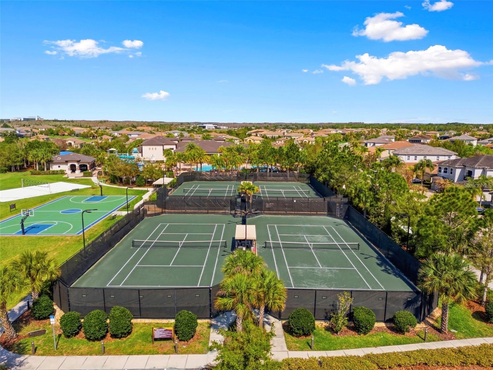 31321 Chesapeake Bay Drive Wesley Chapel FL 33543 O6409729 image58