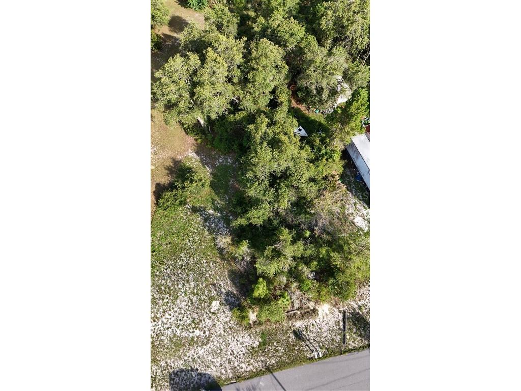 31324 Benton Drive Eustis FL 32736 - ST JOHNS RIVER G5093858 image2
