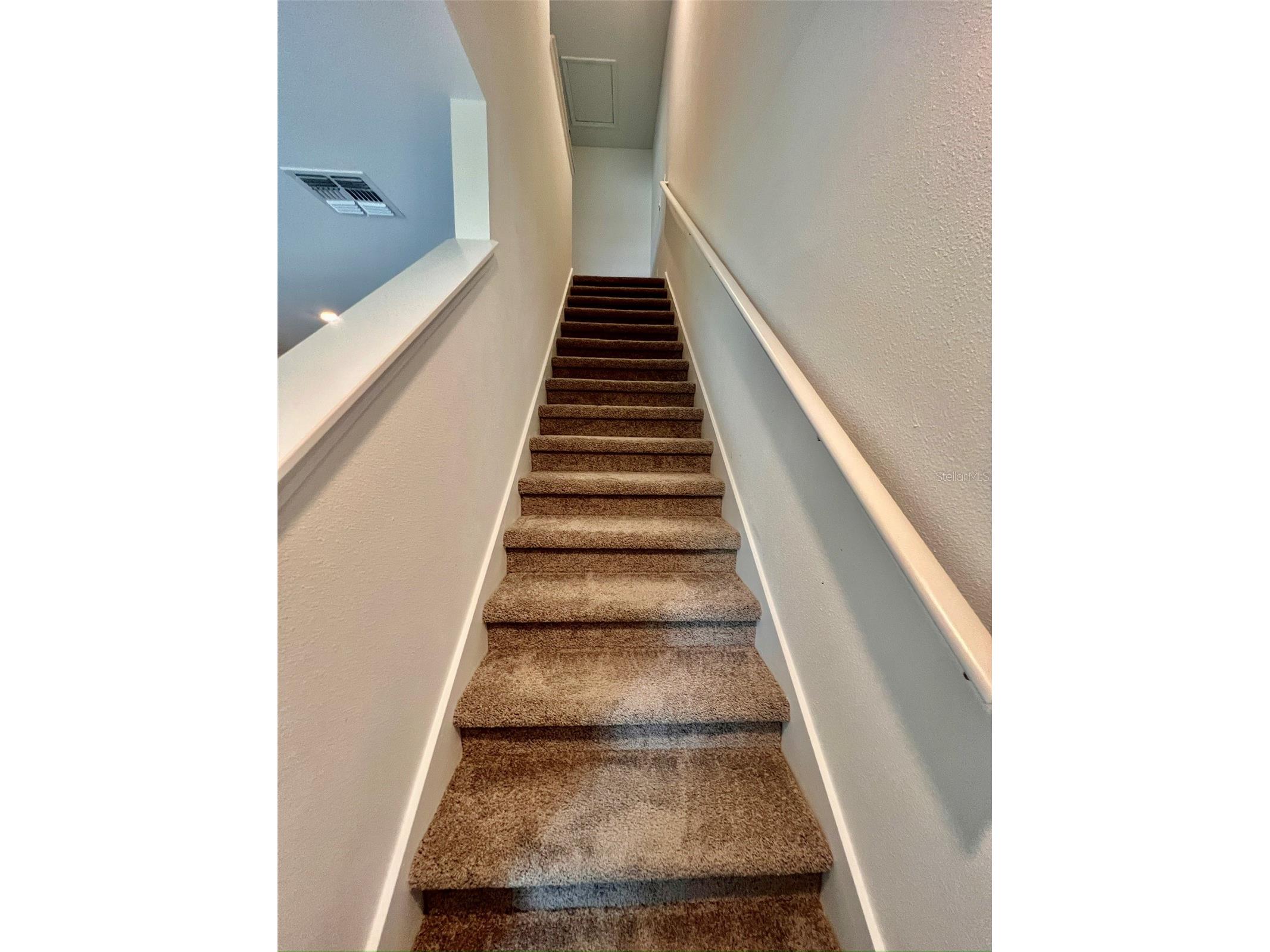 31325 Midnight Sun Way Wesley Chapel FL 33545 TB8490957 image12