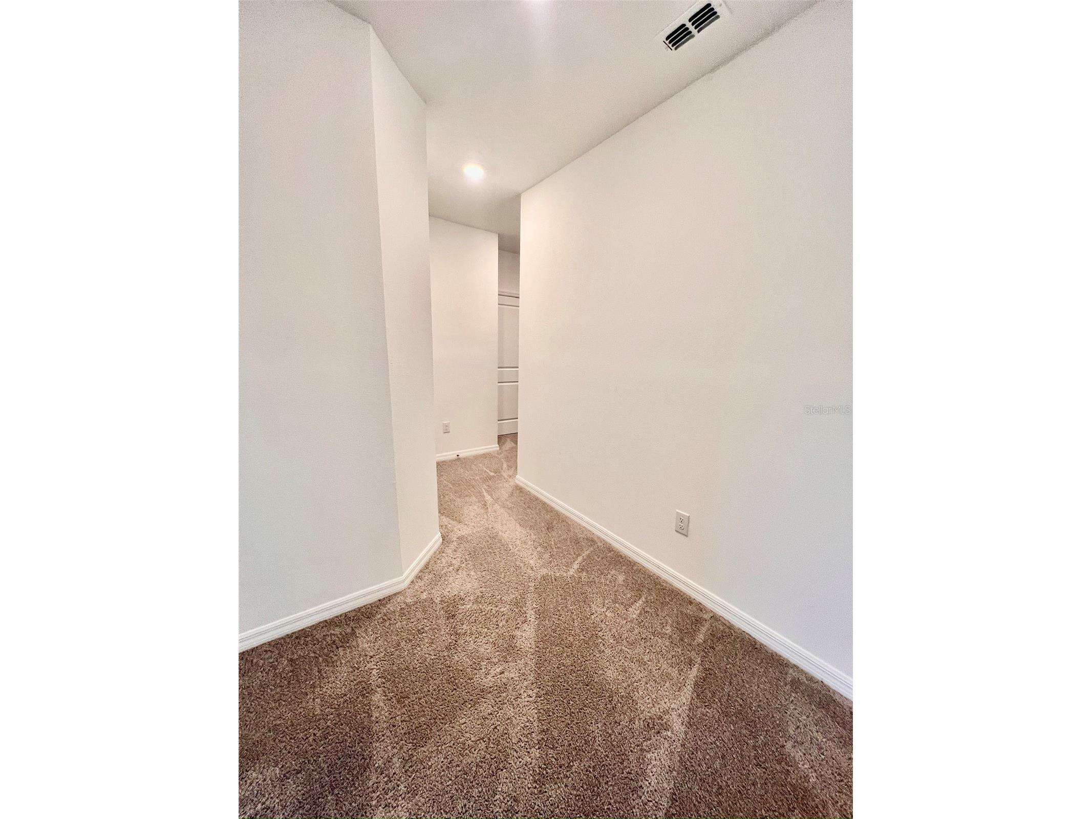 31325 Midnight Sun Way Wesley Chapel FL 33545 TB8490957 image19