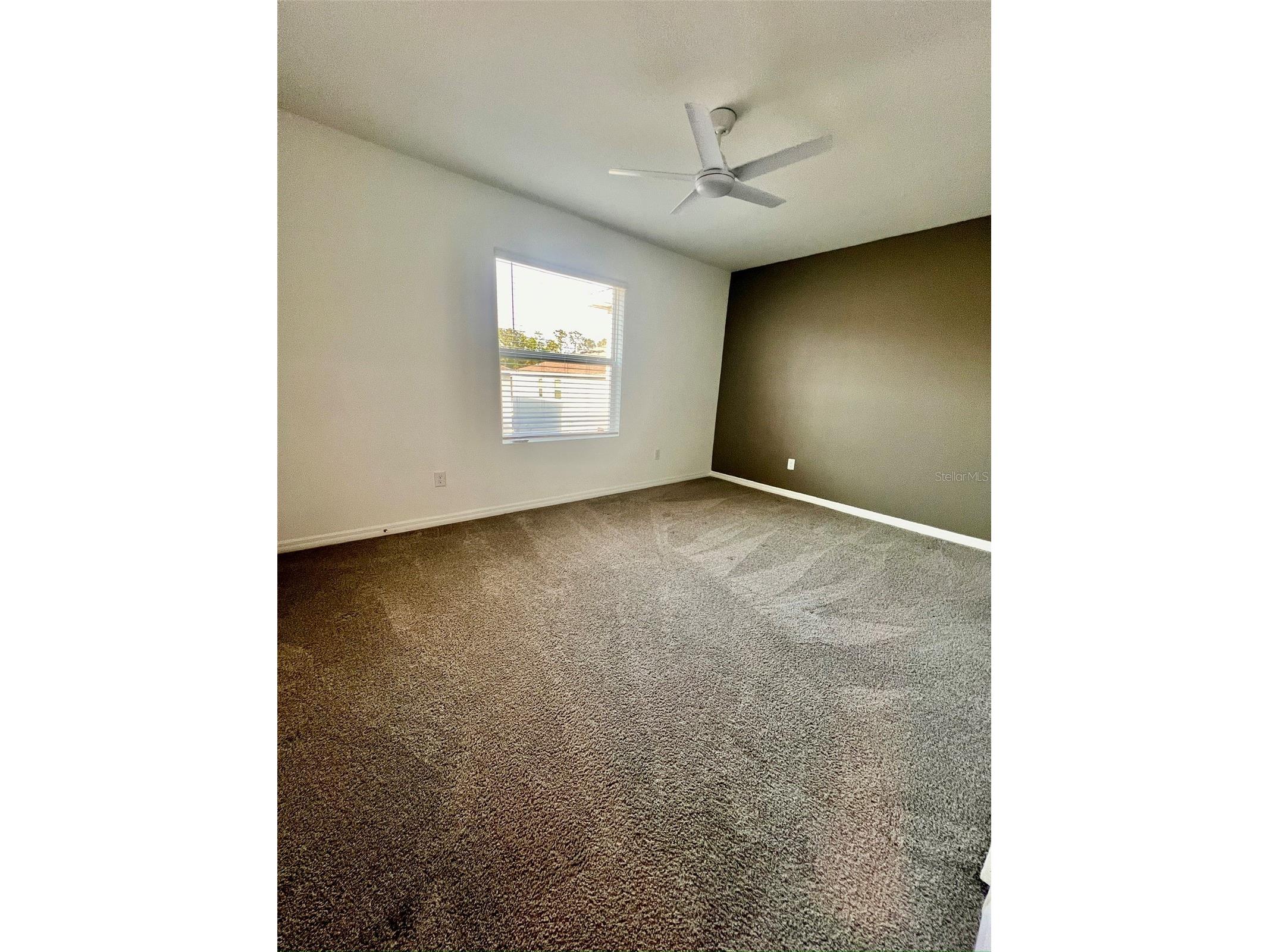 31325 Midnight Sun Way Wesley Chapel FL 33545 TB8490957 image20