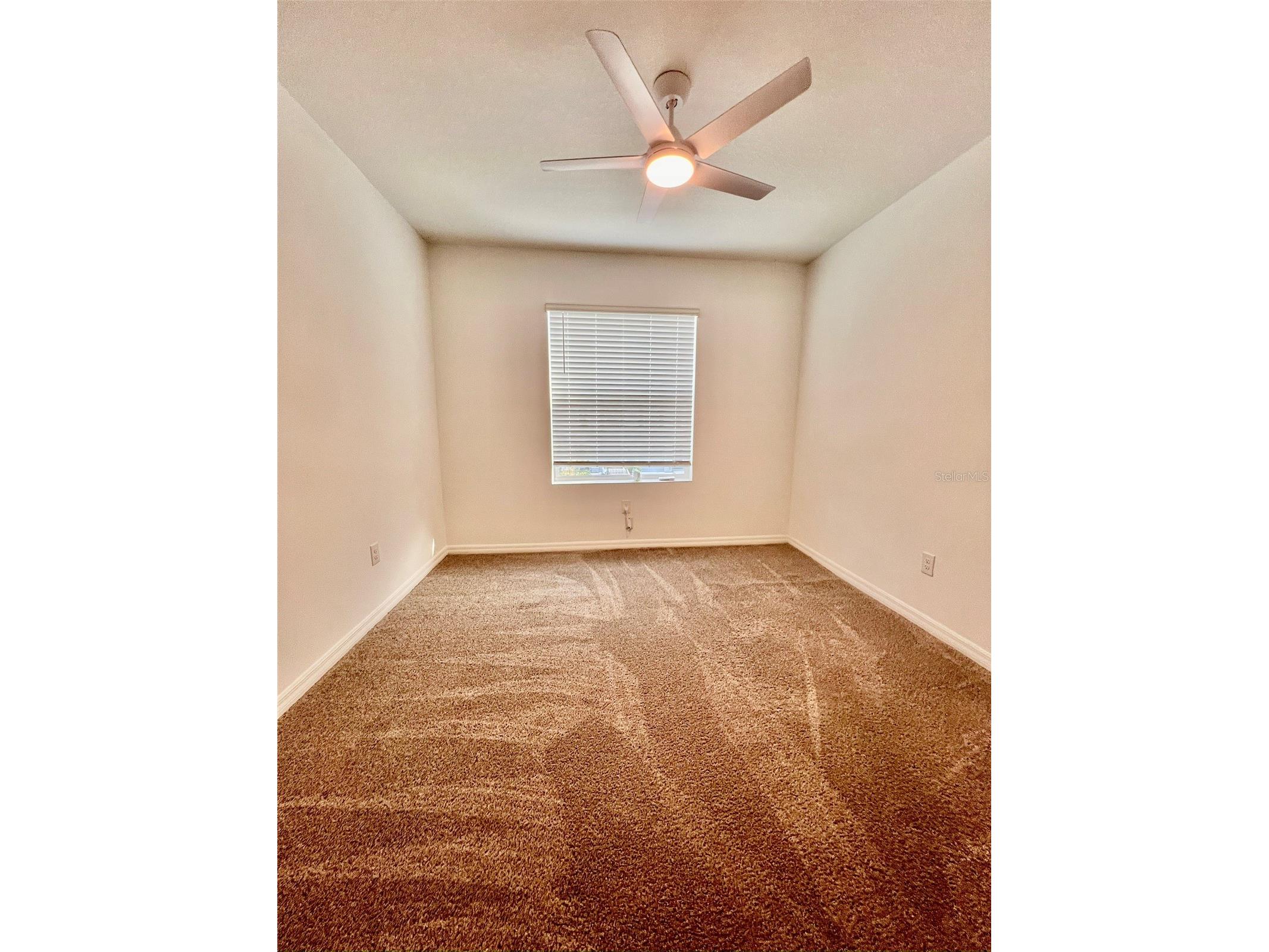 31325 Midnight Sun Way Wesley Chapel FL 33545 TB8490957 image7