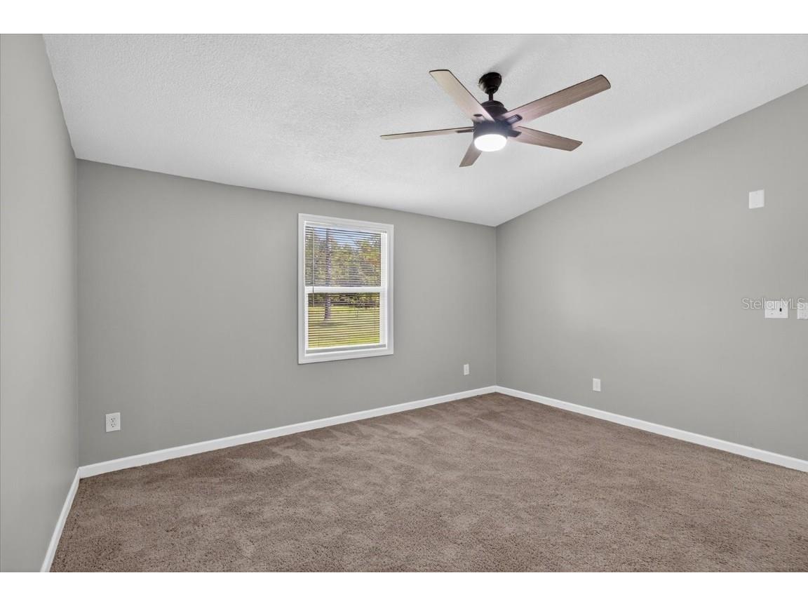 31326 Tyndall Road Wesley Chapel FL 33545 TB8431812 image12