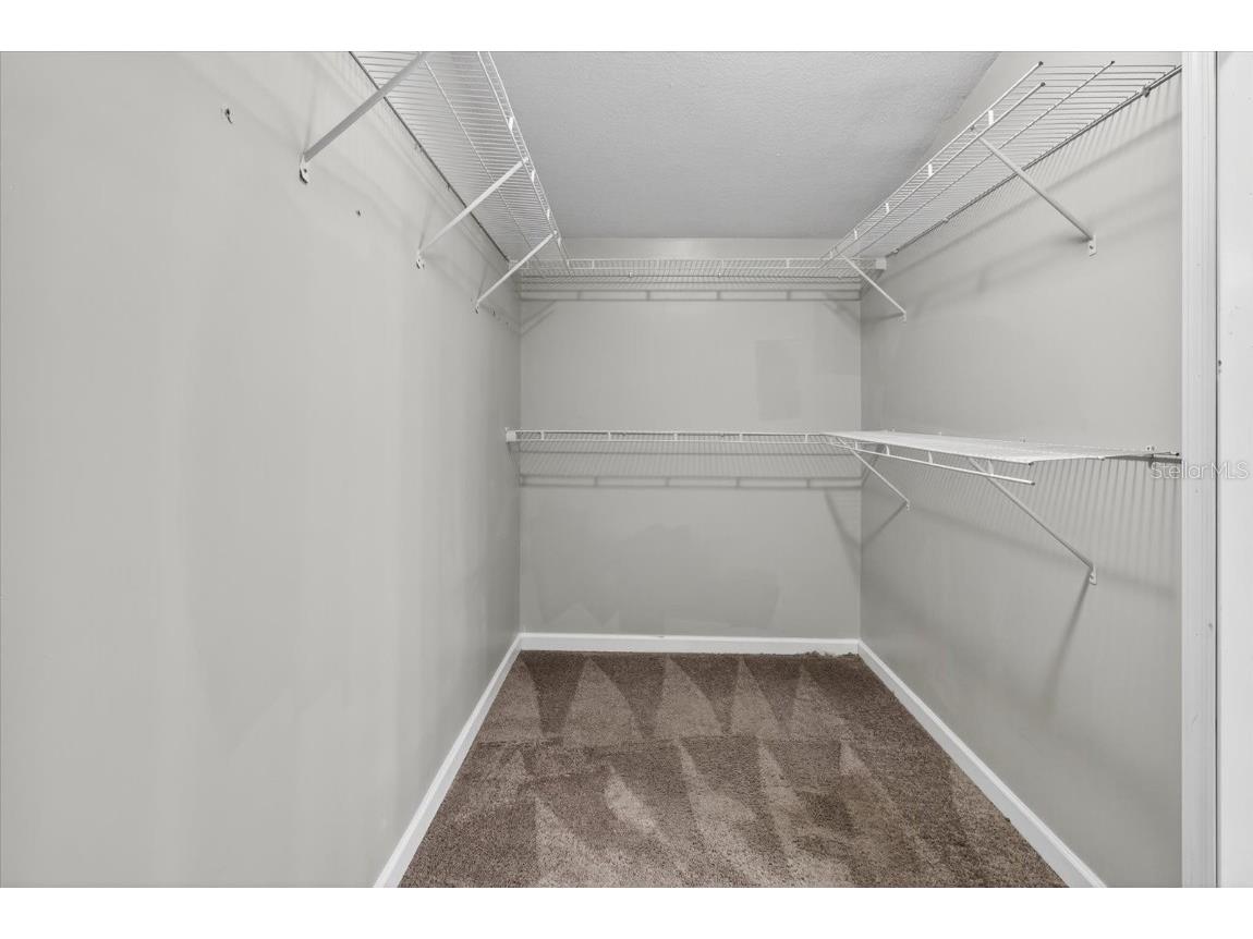 31326 Tyndall Road Wesley Chapel FL 33545 TB8431812 image22