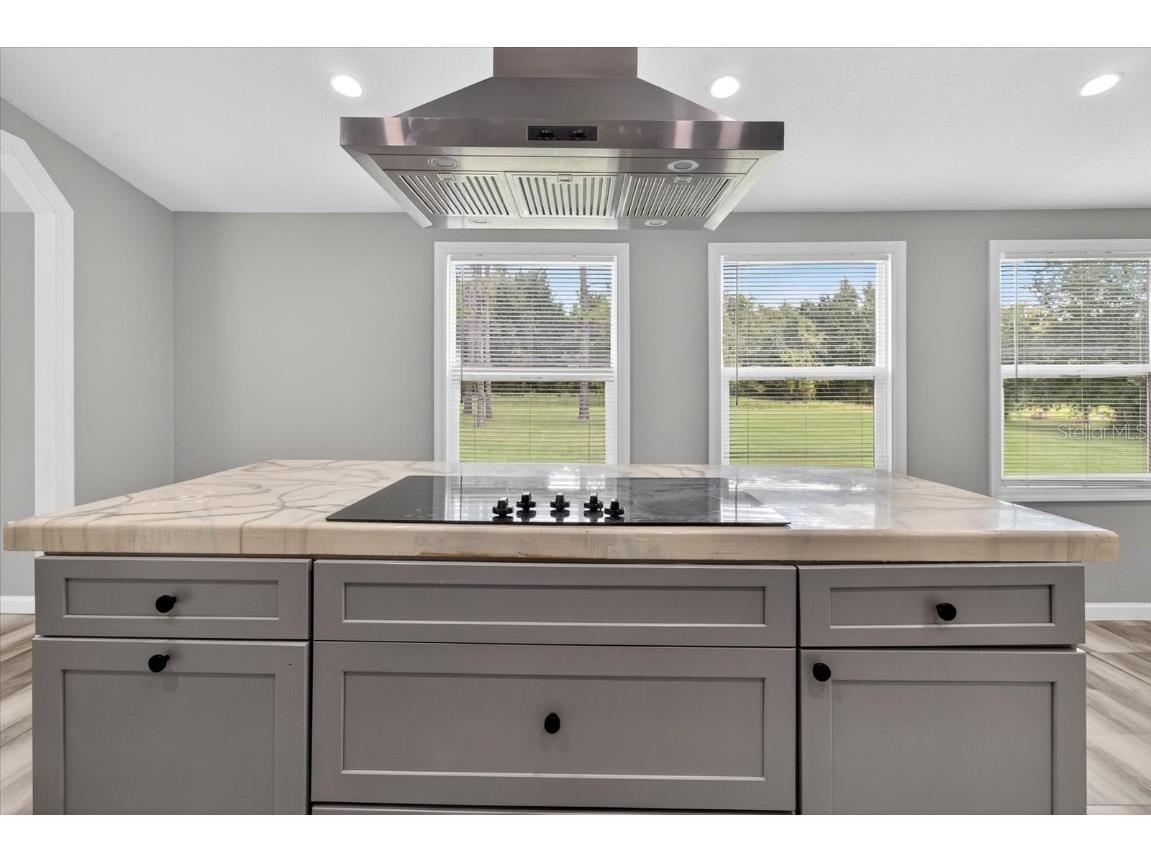 31326 Tyndall Road Wesley Chapel FL 33545 TB8431812 image29