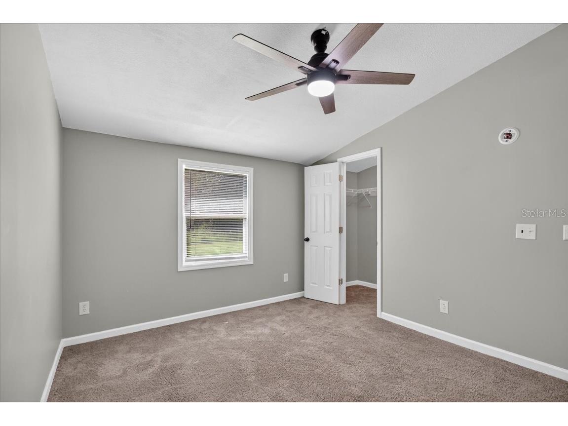 31326 Tyndall Road Wesley Chapel FL 33545 TB8431812 image45