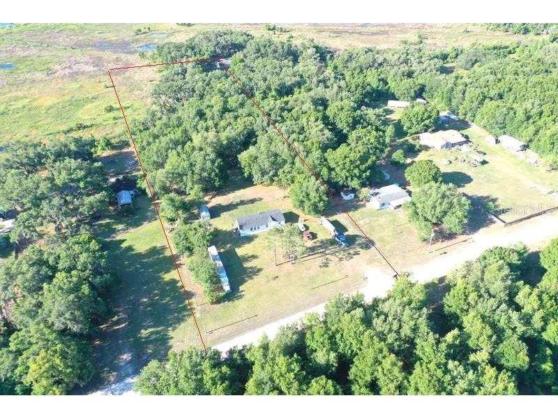 31326 Tyndall Road Wesley Chapel FL 33545 TB8501351 image3