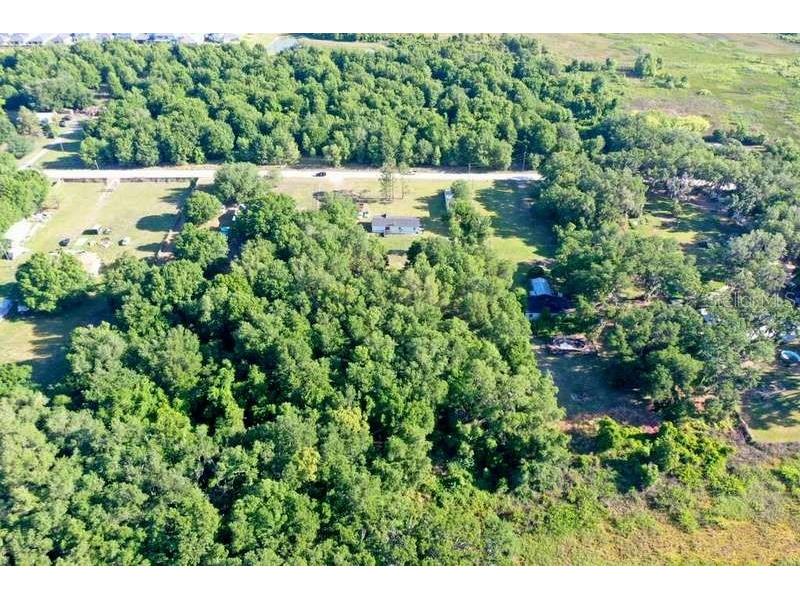 31326 Tyndall Road Wesley Chapel FL 33545 TB8501351 image5