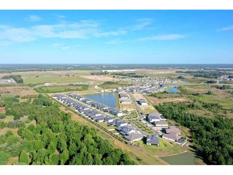 31326 Tyndall Road Wesley Chapel FL 33545 TB8501351 image7