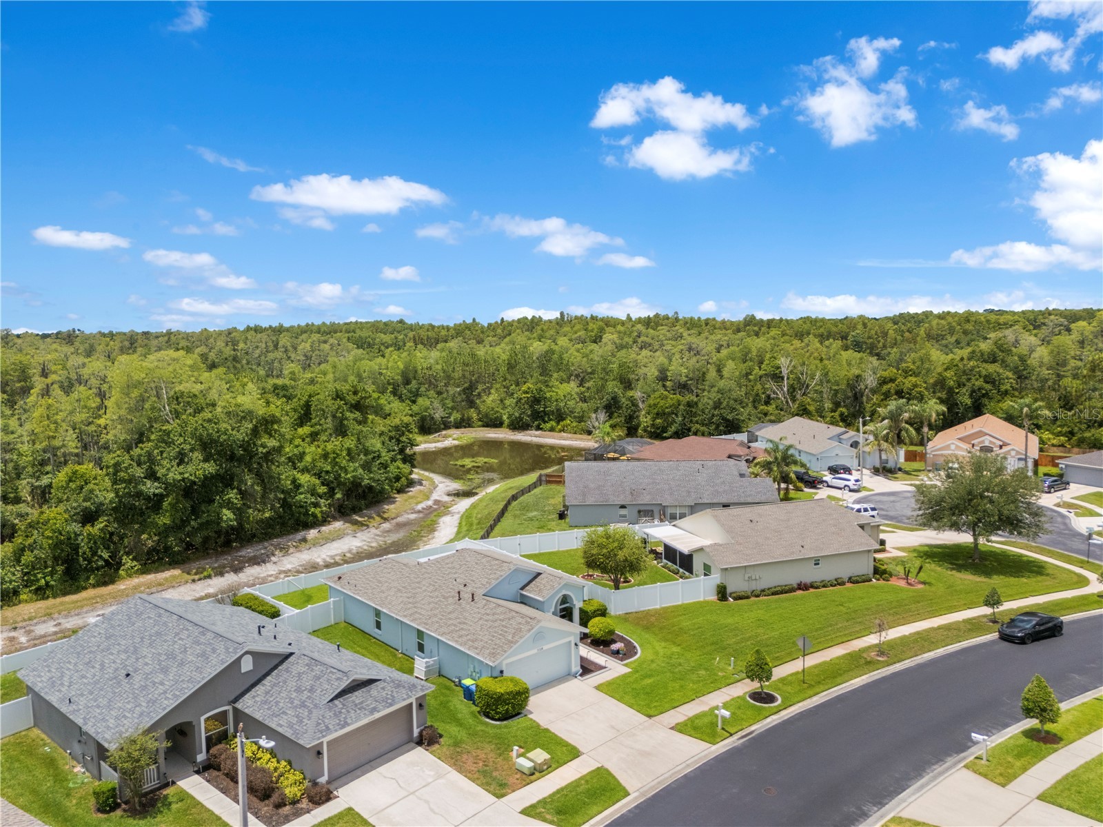 31328 Wrencrest Drive Wesley Chapel FL 33543 TB8516801 image50