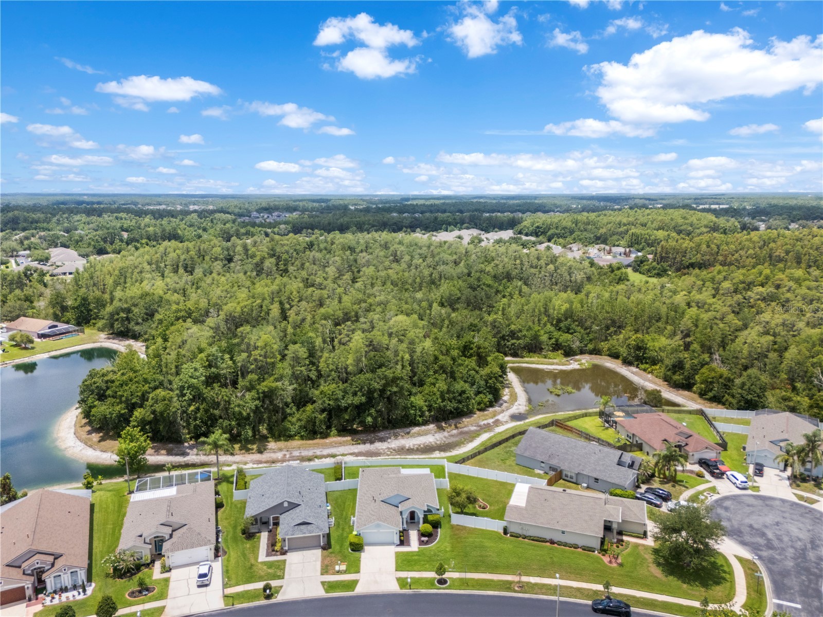 31328 Wrencrest Drive Wesley Chapel FL 33543 TB8516801 image53