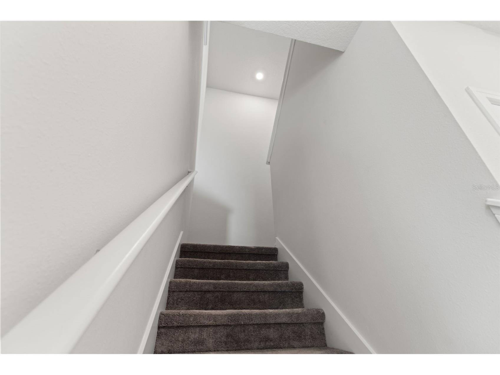 31329 Amberview Bend Wesley Chapel FL 33545 TB8461863 image11