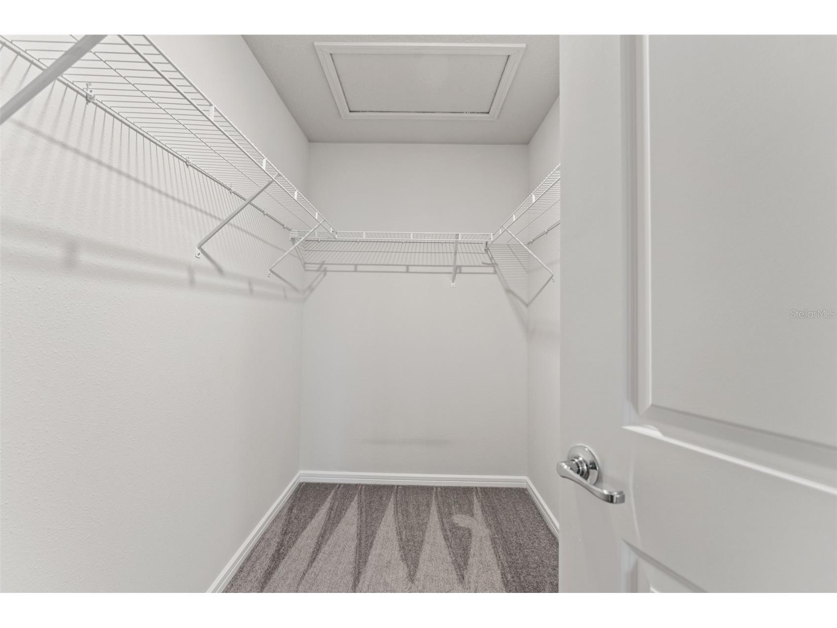 31329 Amberview Bend Wesley Chapel FL 33545 TB8461863 image22