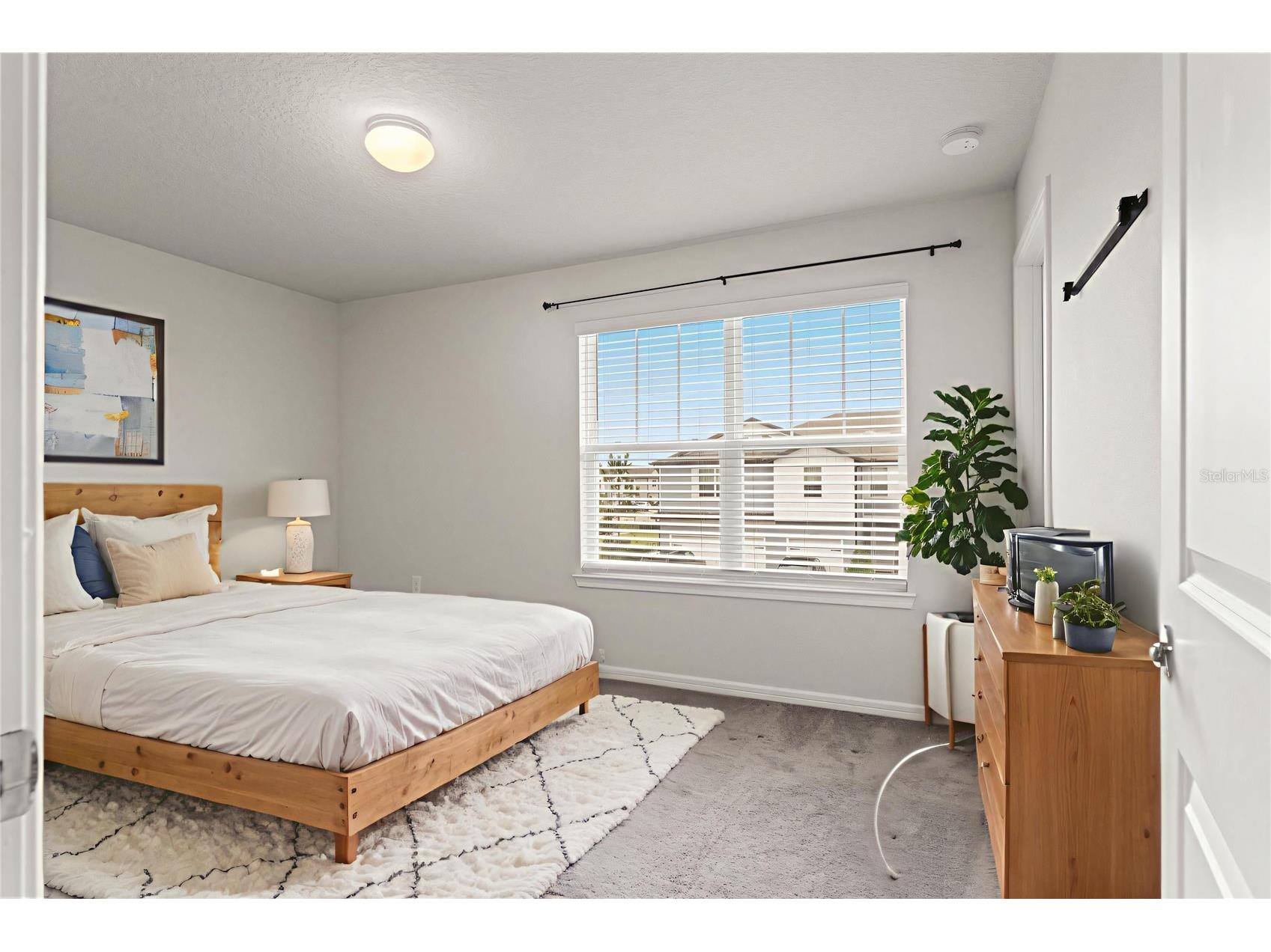 31329 Amberview Bend Wesley Chapel FL 33545 TB8461863 image23