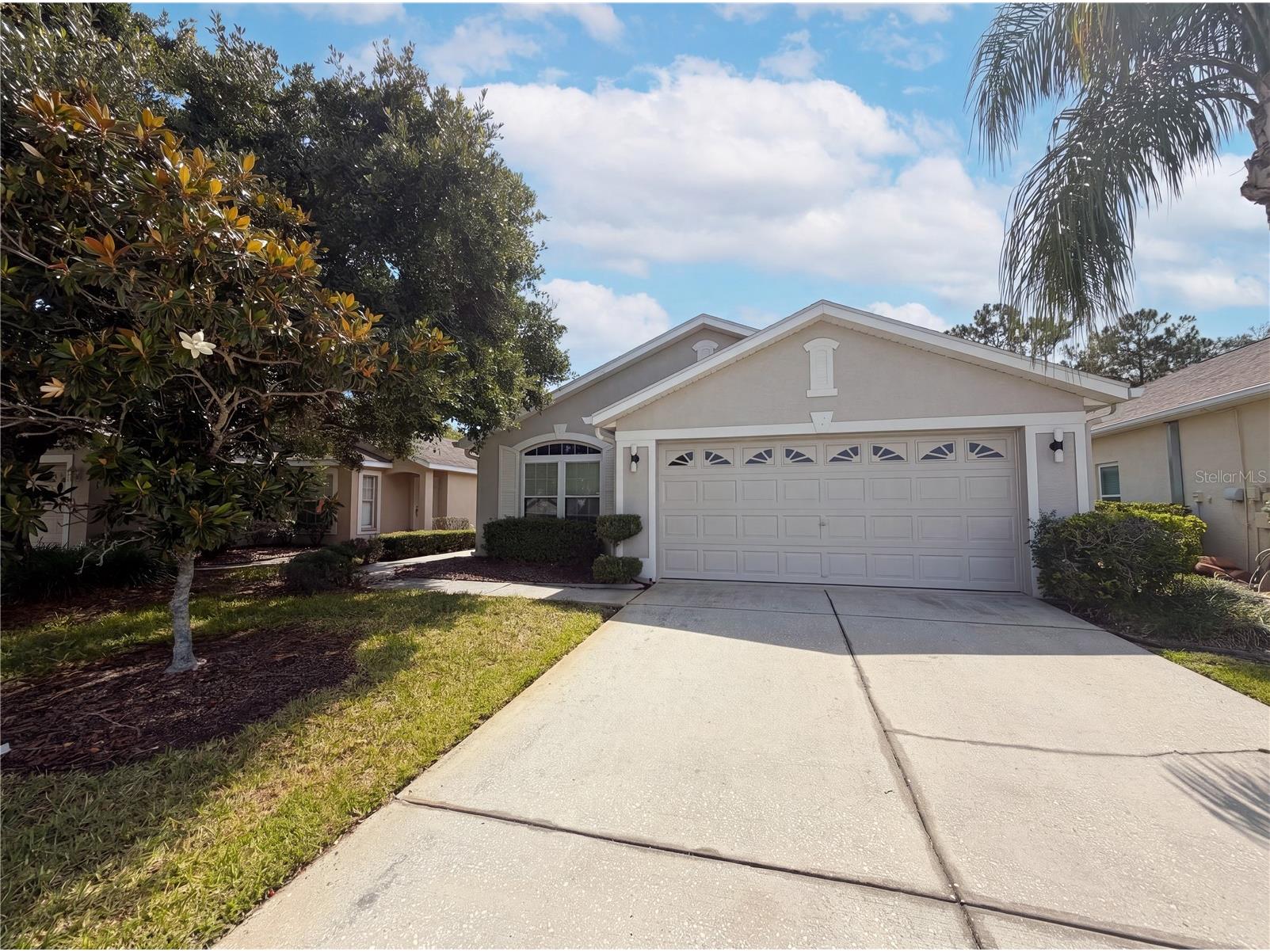 3133 Banyan Hill Lane Land O Lakes FL 34639 O6415358 image1