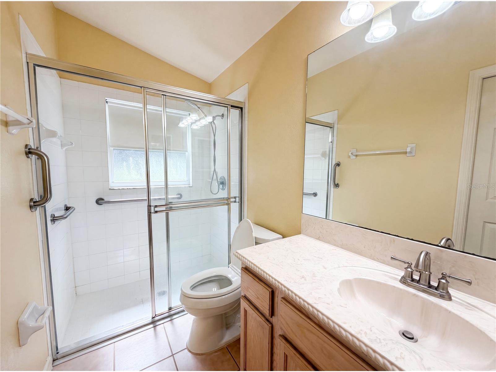 3133 Banyan Hill Lane Land O Lakes FL 34639 O6415358 image10