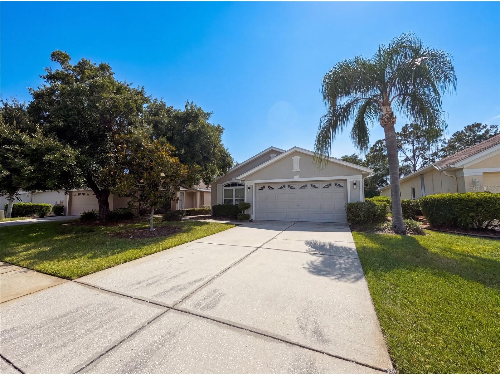 3133 Banyan Hill Lane Land O Lakes FL 34639 O6415358 image13