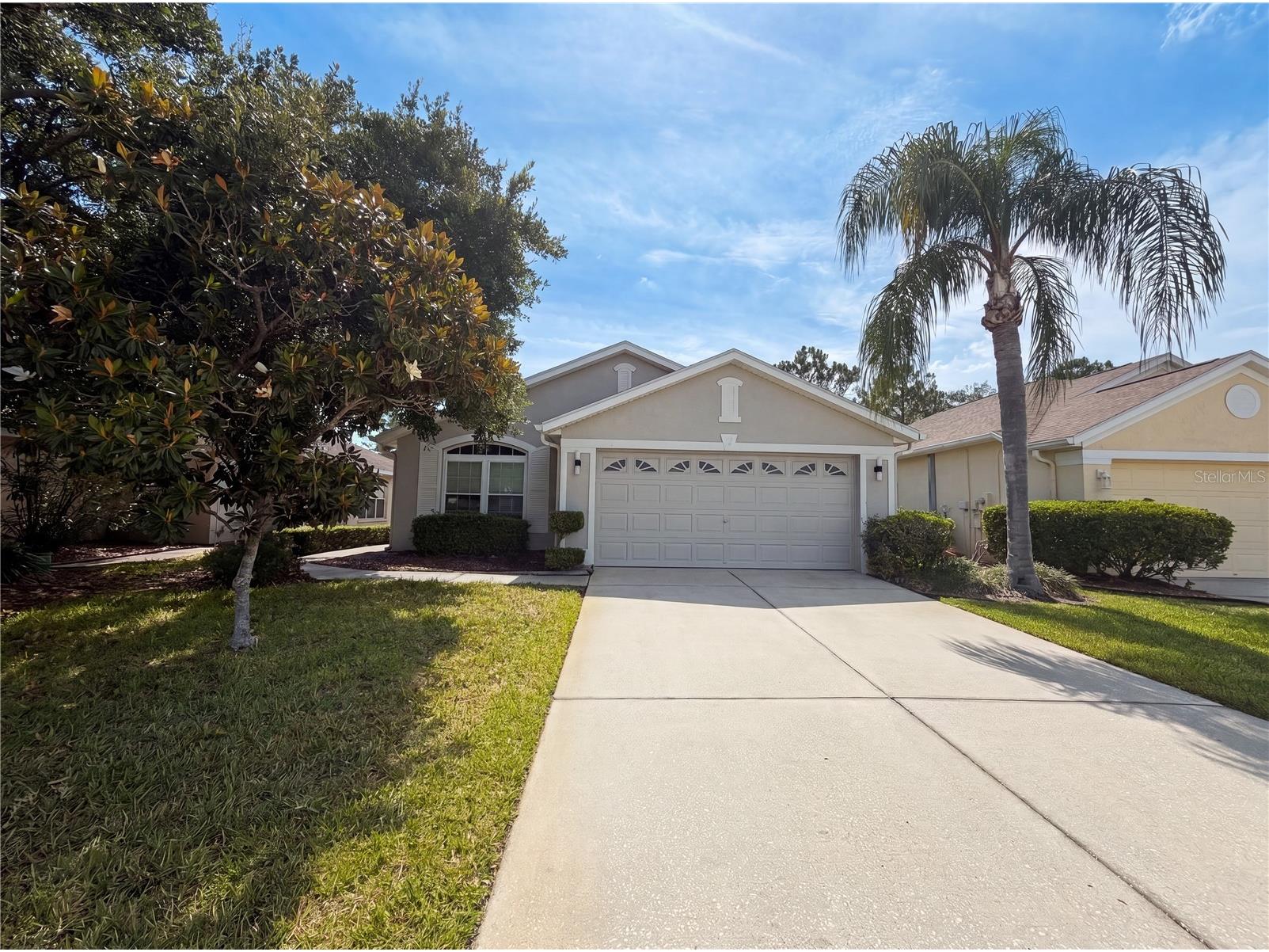 3133 Banyan Hill Lane Land O Lakes FL 34639 O6415358 image14