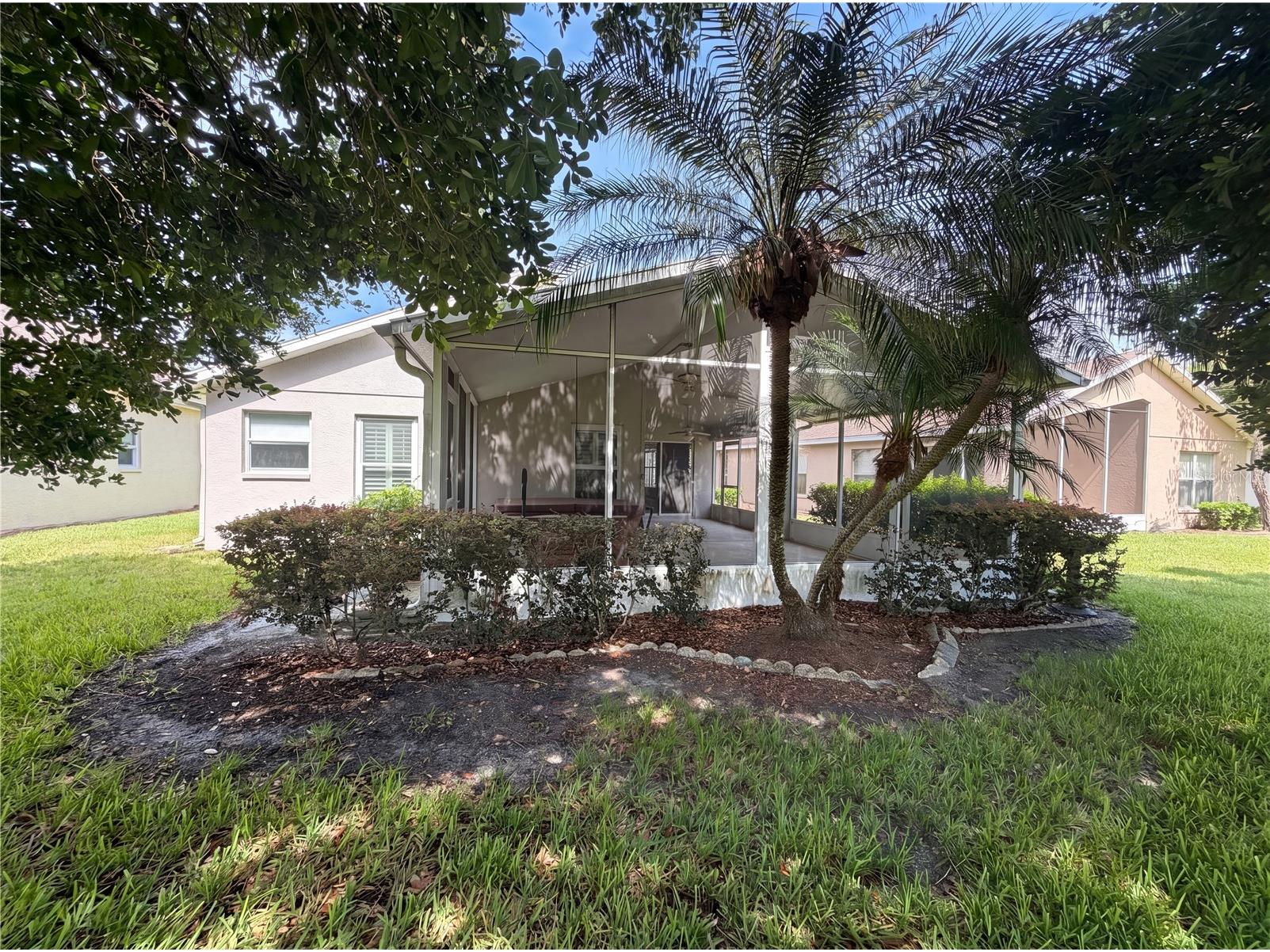 3133 Banyan Hill Lane Land O Lakes FL 34639 O6415358 image17