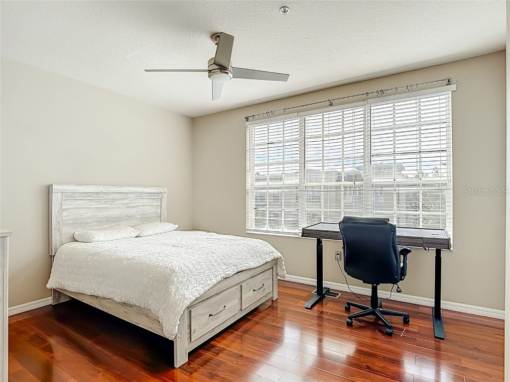 3133 Bayshore Oaks Drive Tampa FL 33611 TB8446411 image11