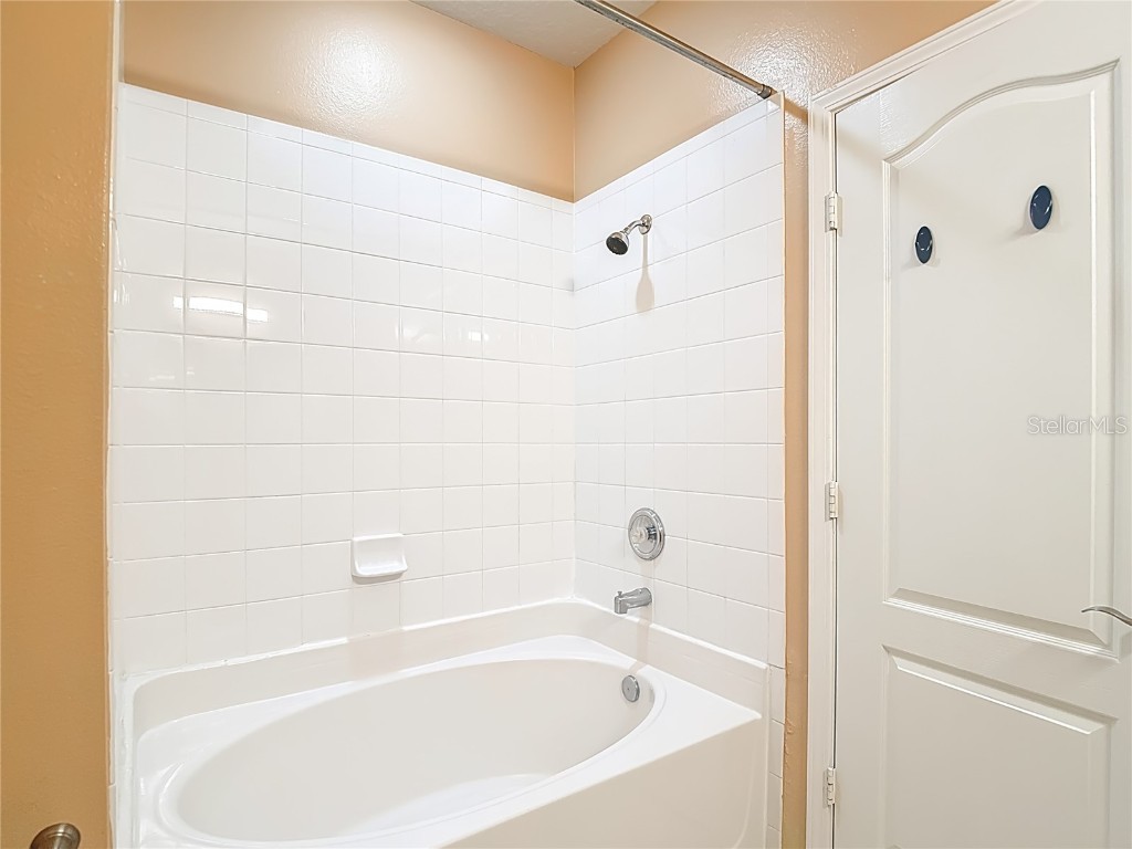 3133 Bayshore Oaks Drive Tampa FL 33611 TB8446411 image14